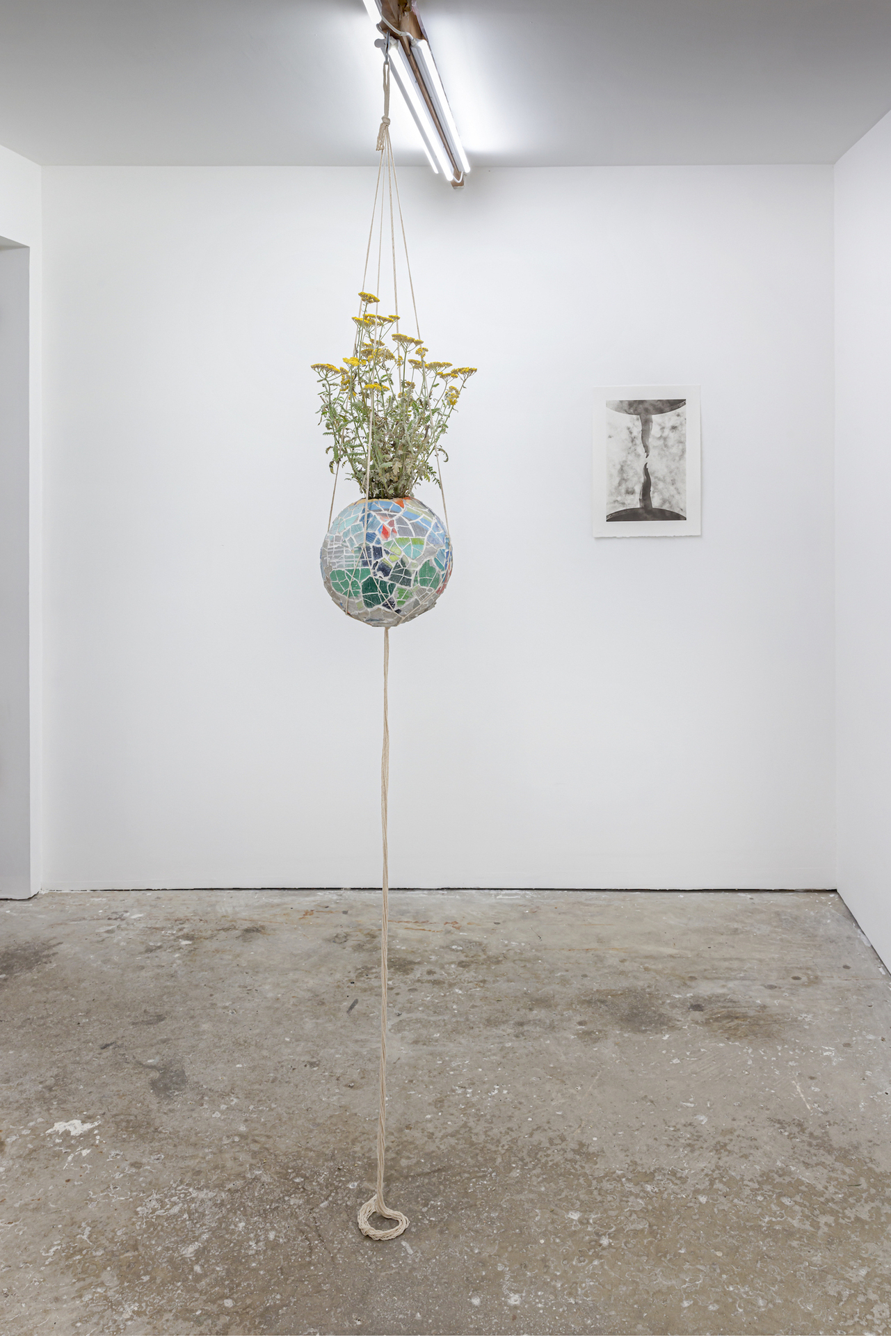 Installation view 7