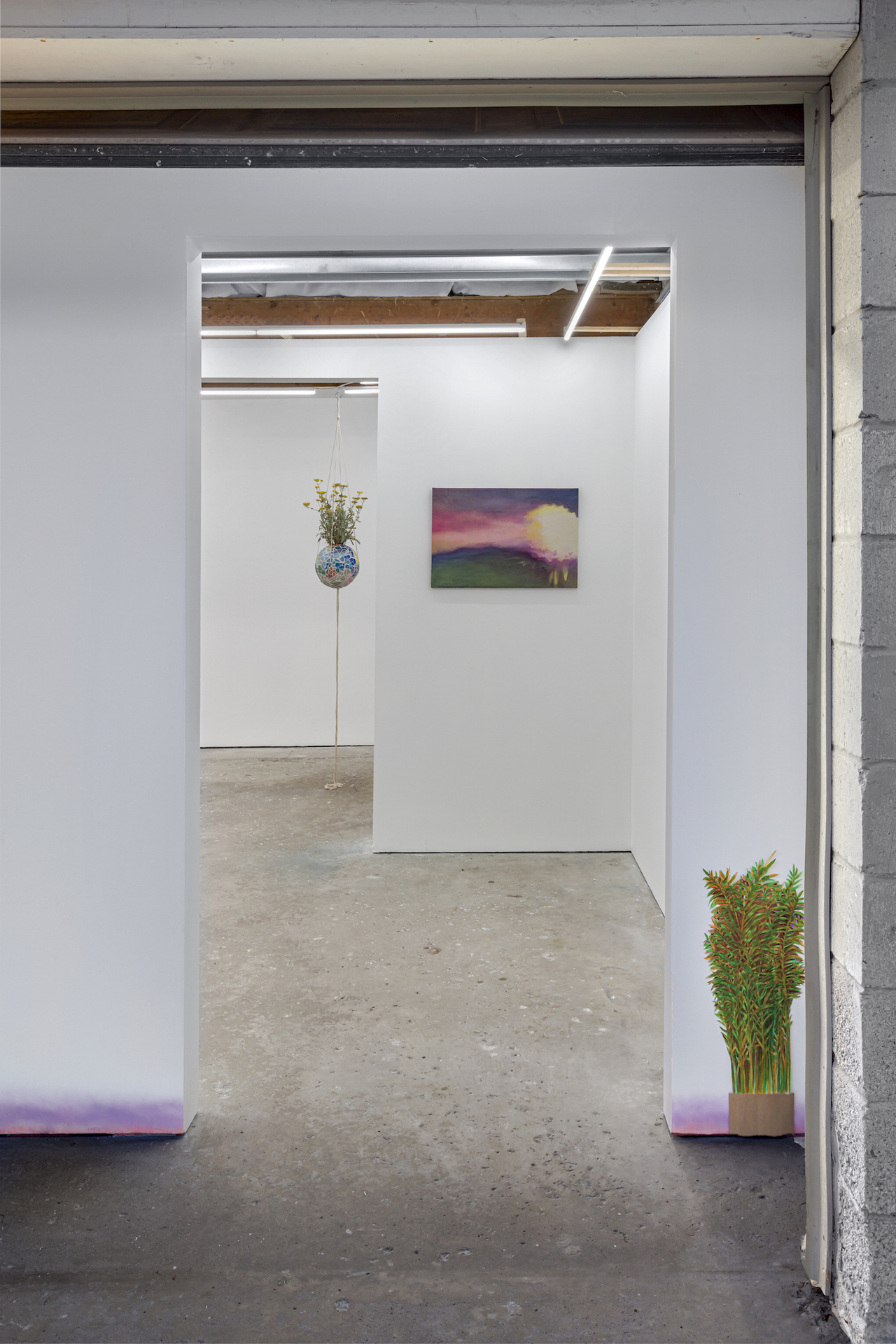 Installation view 8