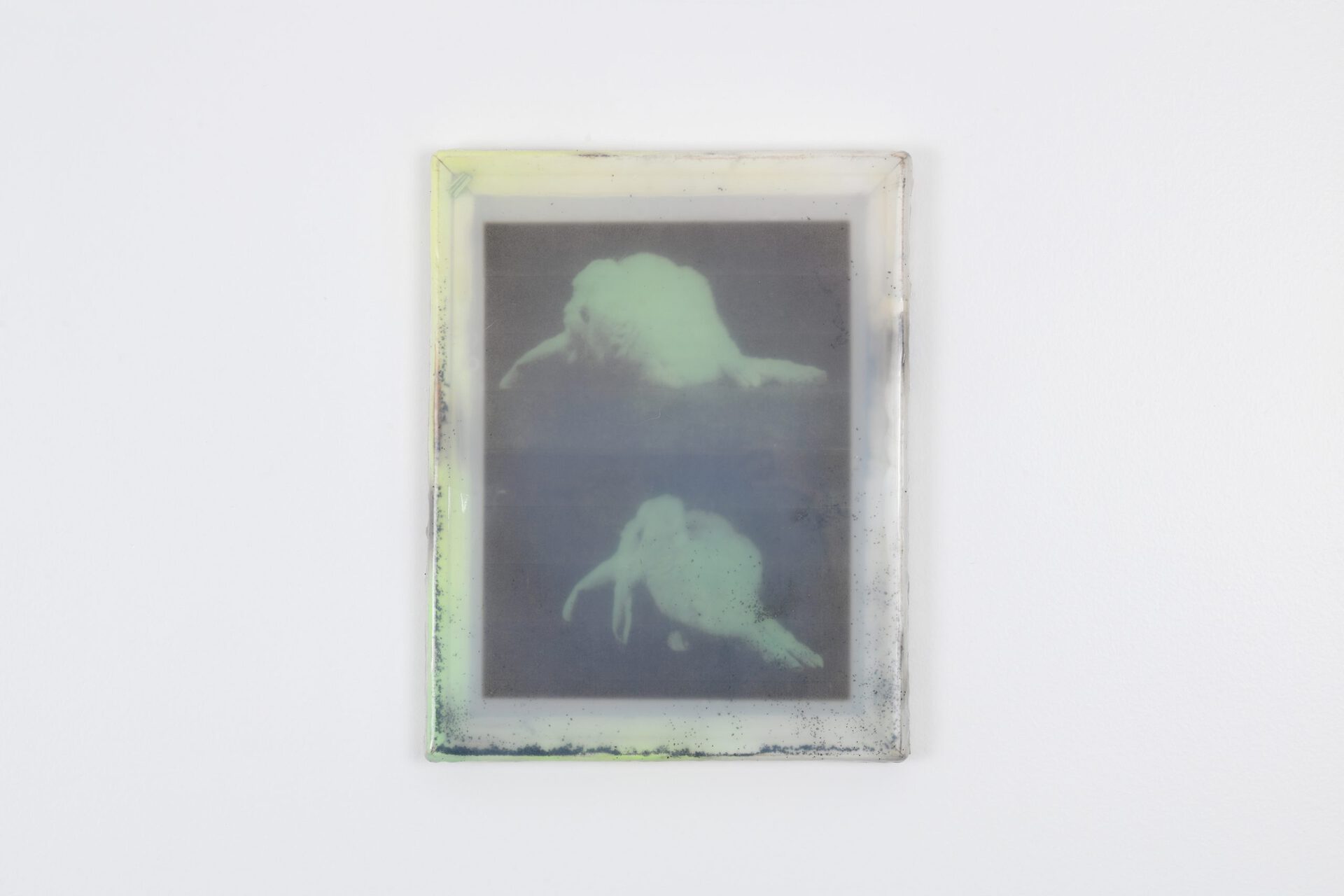 Adriano Amaral. Untitled, 2020. Mixed technique on prosthetic rubber in frame artist frame. 30 x 24 x 2.5 cm.