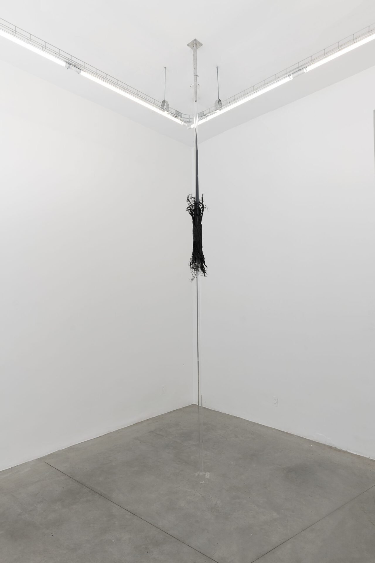 Adriano Amaral. Untitled, 2017. Acrylic, tire fragments, seriema wing, carbon silicone, and stainless steel tube. Variable height x 17 x 17 cm.