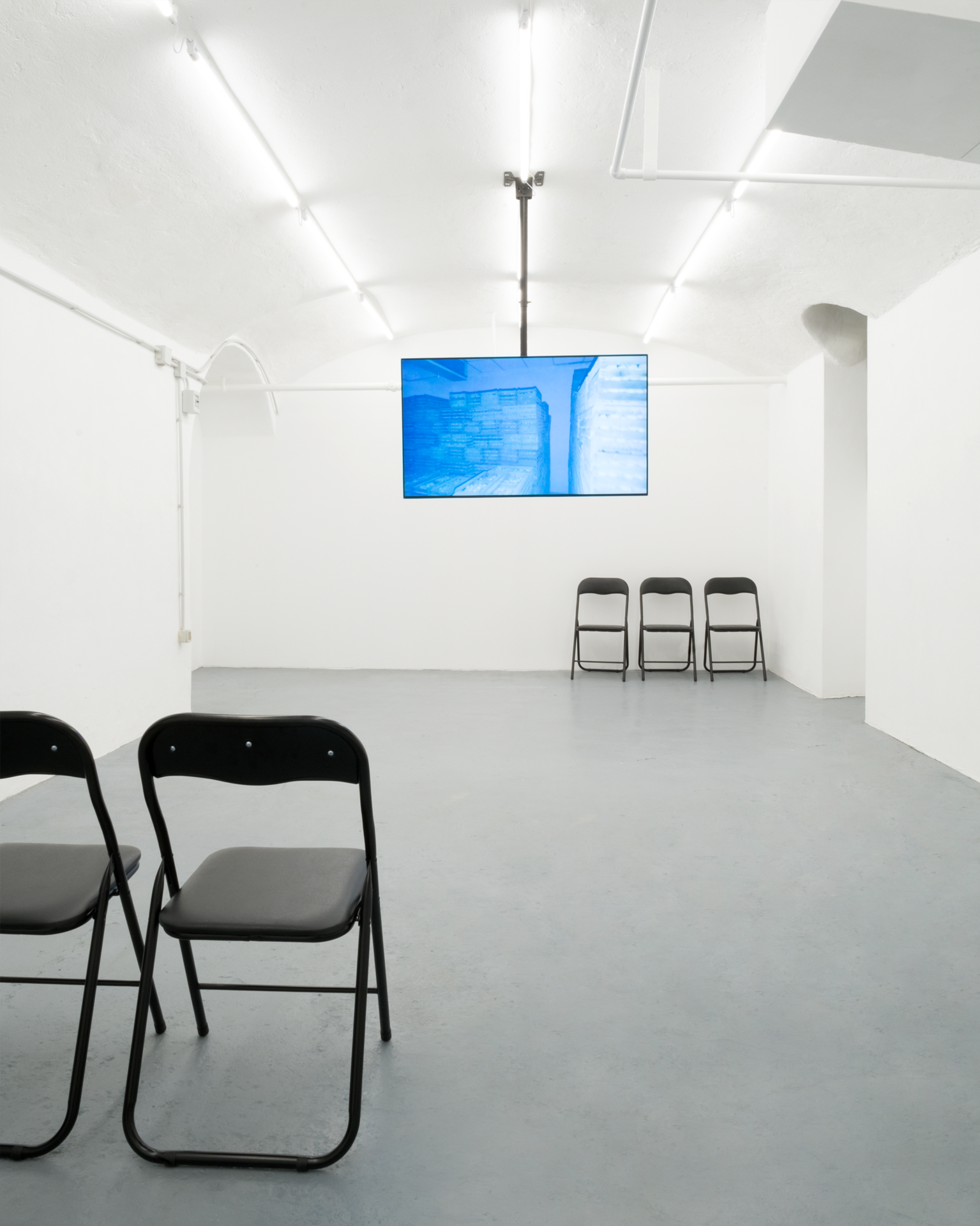 SUPER-NATURAL, Until the end, MASSIMO, Milan. Adriano Amaral, Rurais (2017), installation view.