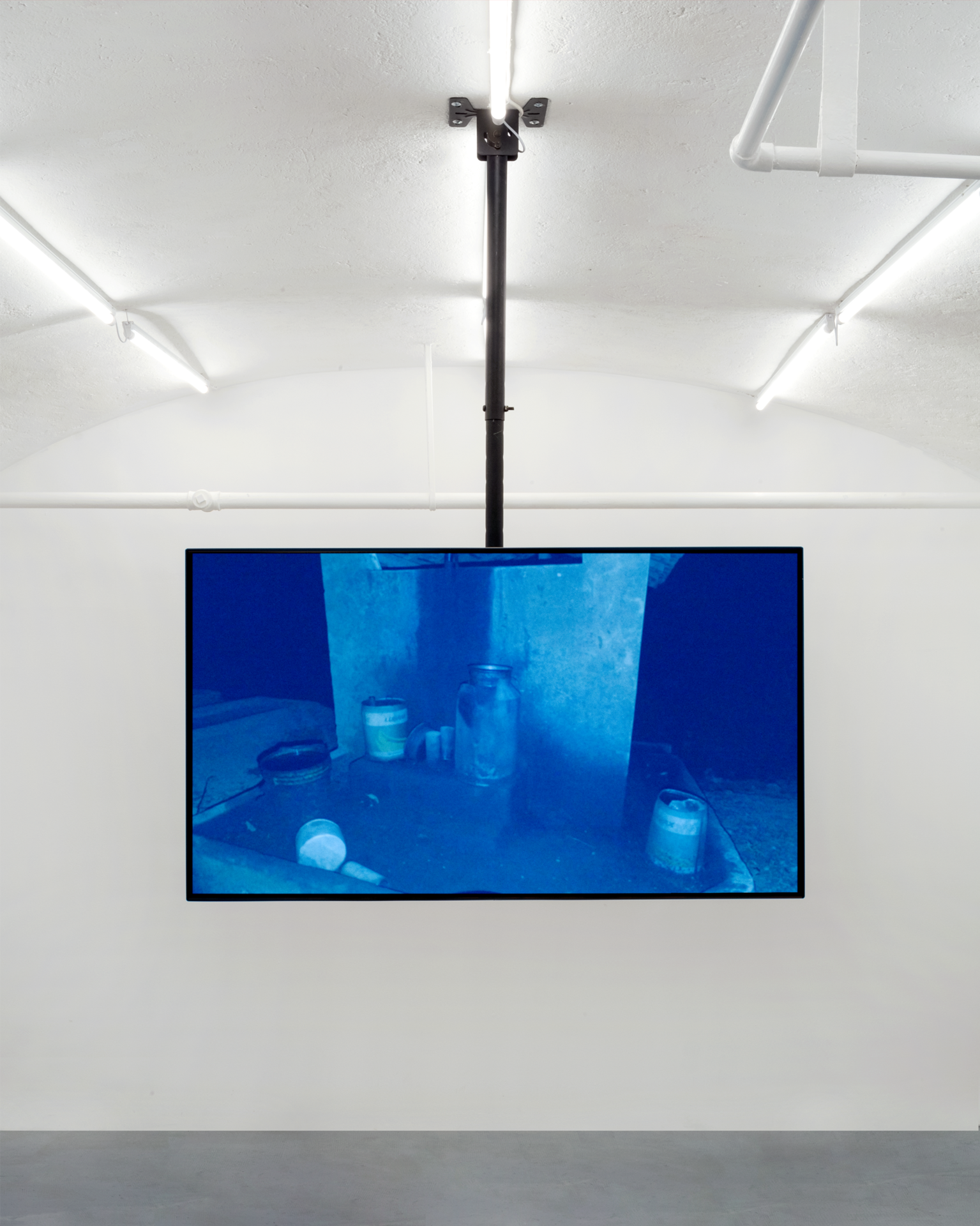 SUPER-NATURAL, Until the end, MASSIMO, Milan. Adriano Amaral, Rurais (2017).