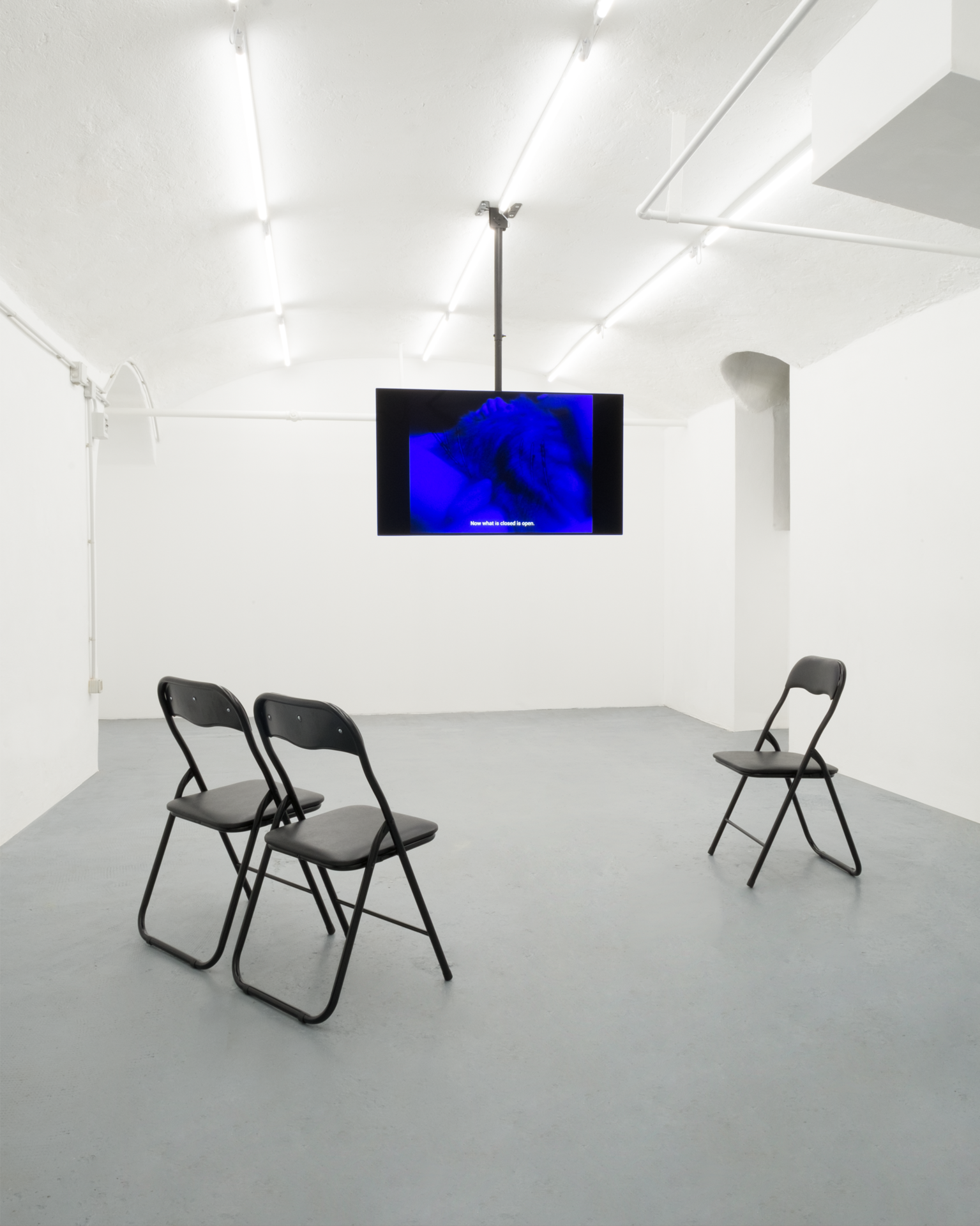 SUPER-NATURAL, Until the end, MASSIMO, Milan. Janaina Wagner, Licantropia (2020), installation view.