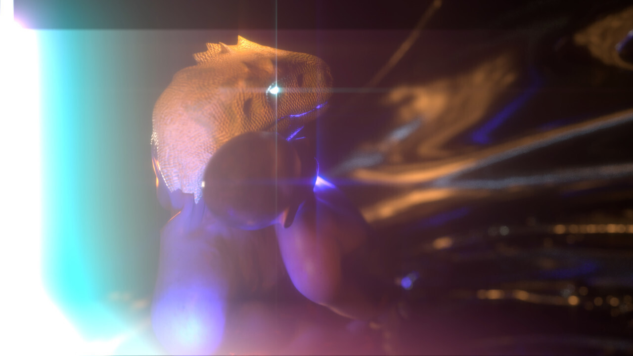 Tarek Lakhrissi, The Art of Losing (Love Scene), 2021, stills, HD single channel video, sound, color, 1:49min. Courtesy the artist and Vitrine Gallery.