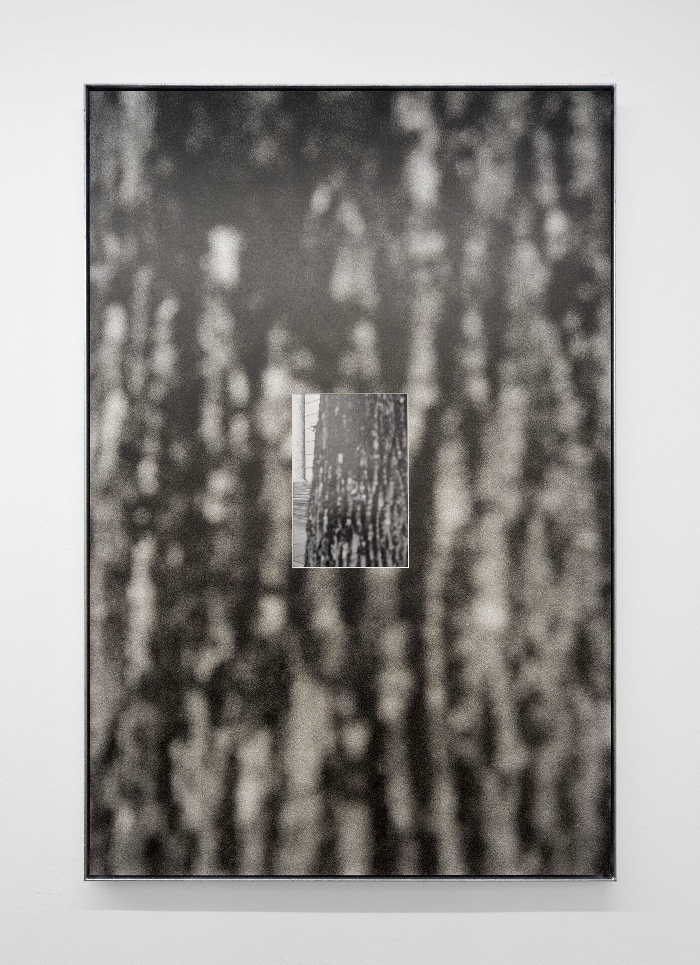 Christin Kaiser,Baumwall (HdK 1), 2021 B/w-archival print in artist frame, steel, zinc coated 119 x 79 x 4 cm