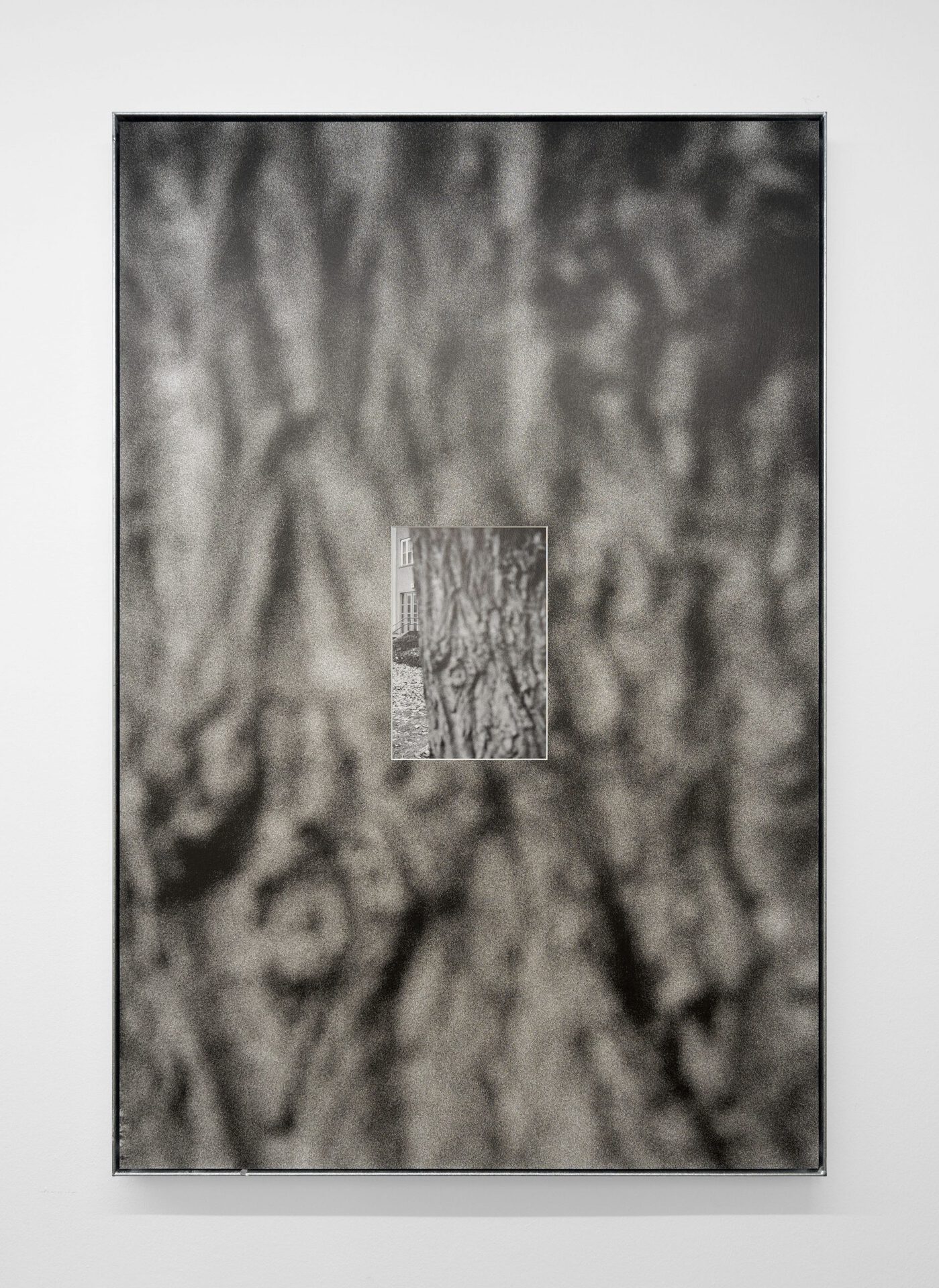 Christin Kaiser,Baumwall (WW 4), 2021 B/w-archival print in artist frame, steel, zinc coated 119 x 79 x 4 cm