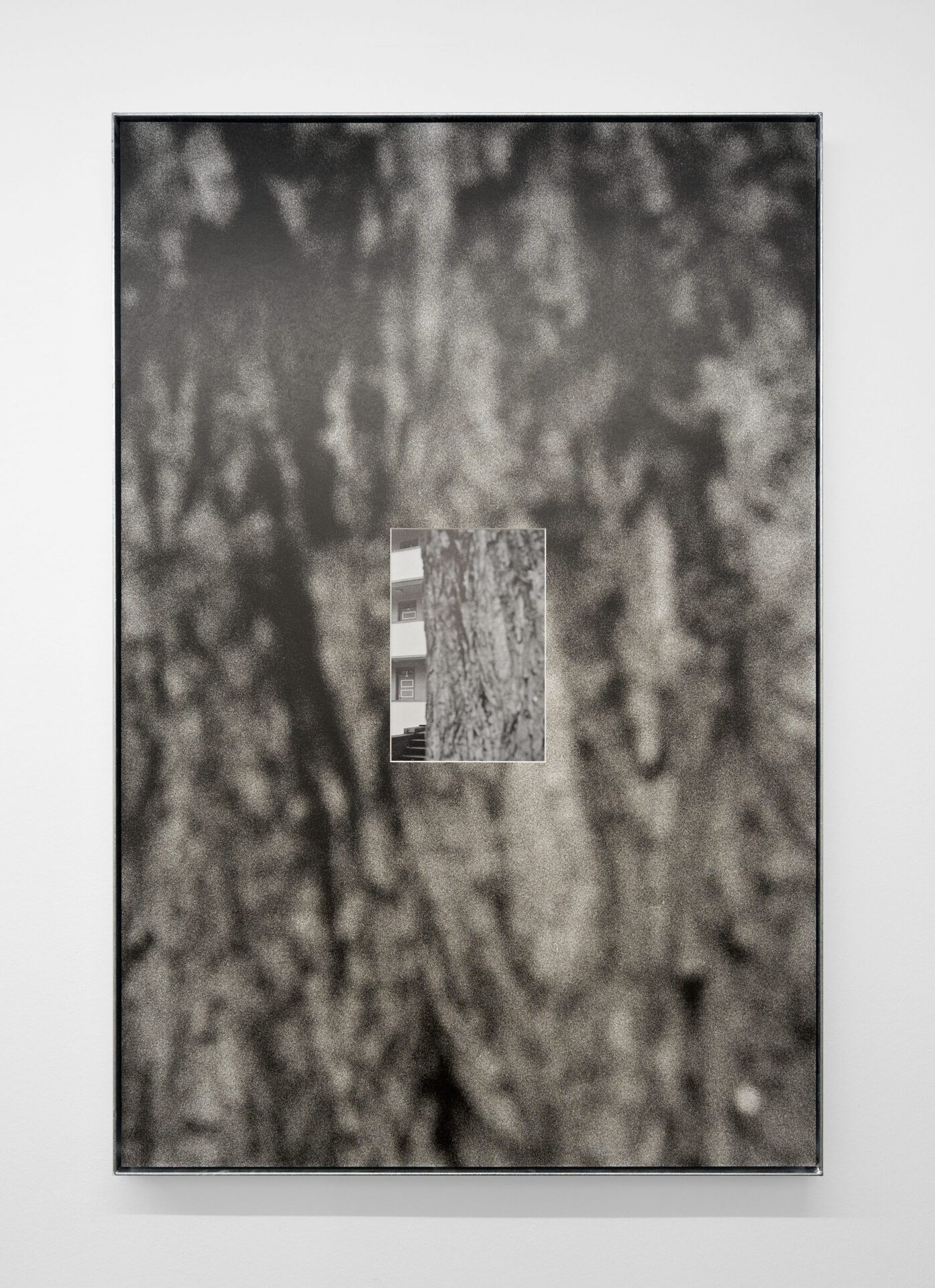 Christin Kaiser,Baumwall (WW 2), 2021 B/w-archival print in artist frame, steel, zinc coated 119 x 79 x 4 cm