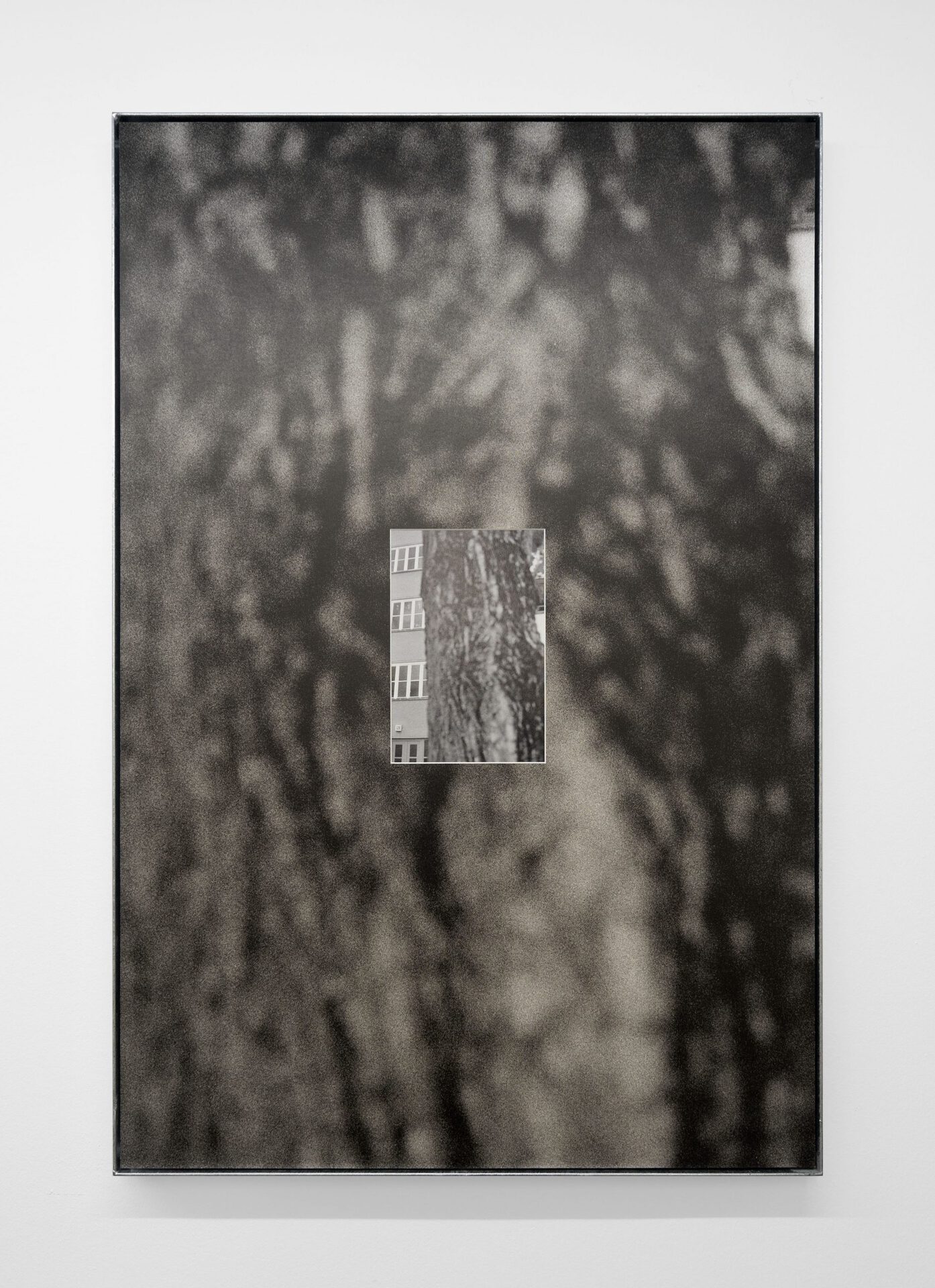 Christin Kaiser,Baumwall (WW 3), 2021 B/w-archival print in artist frame, steel, zinc coated 119 x 79 x 4 cm