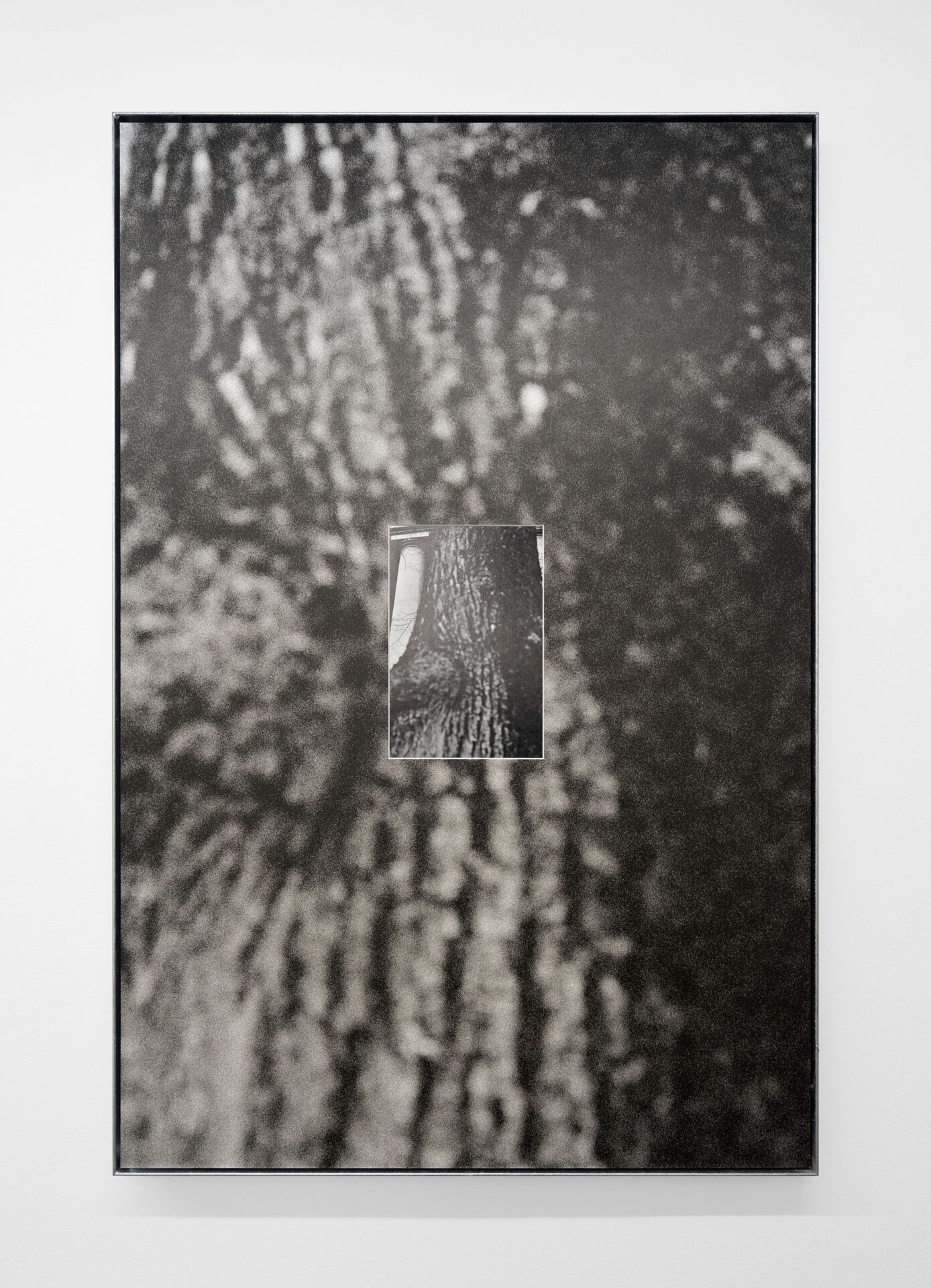 Christin Kaiser,Baumwall (HdK 3), 2021 B/w-archival print in artist frame, steel, zinc coated 119 x 79 x 4 cm