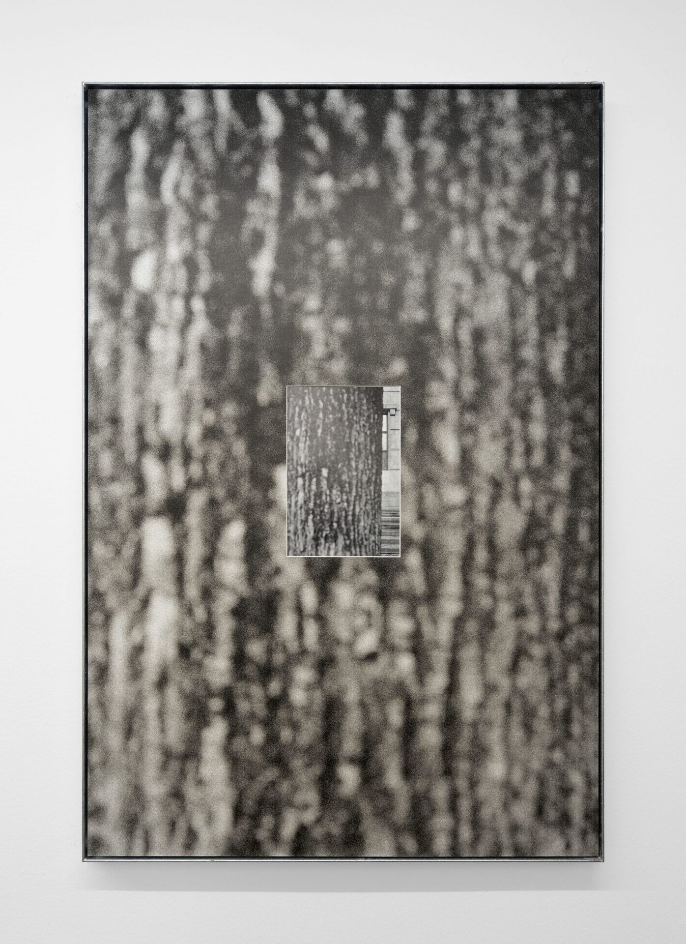 Christin Kaiser,Baumwall (HdK 4), 2021 B/w-archival print in artist frame, steel, zinc coated 119 x 79 x 4 cm