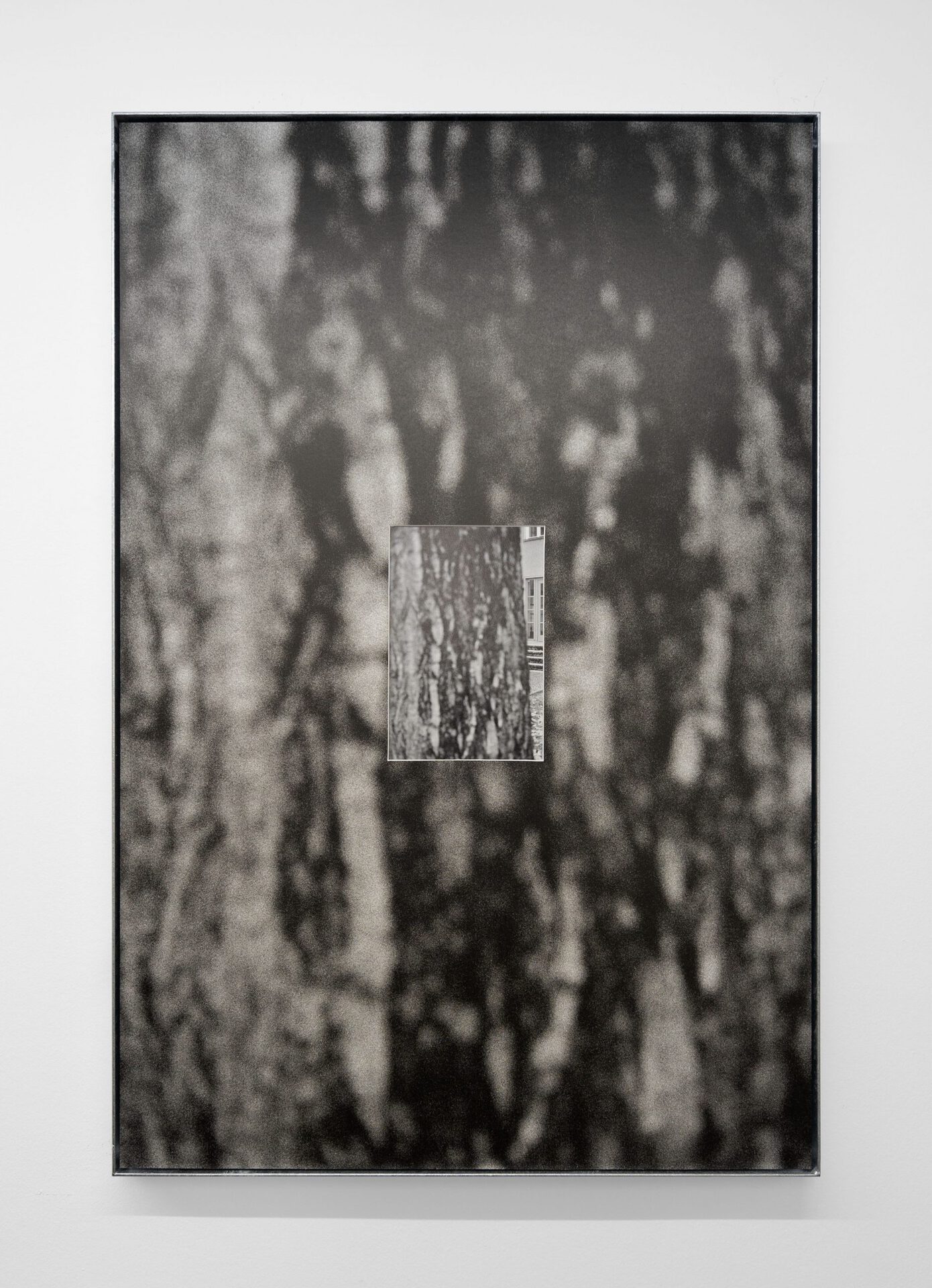 Christin Kaiser,Baumwall (WW 1), 2021 B/w-archival print in artist frame, steel, zinc coated 119 x 79 x 4 cm