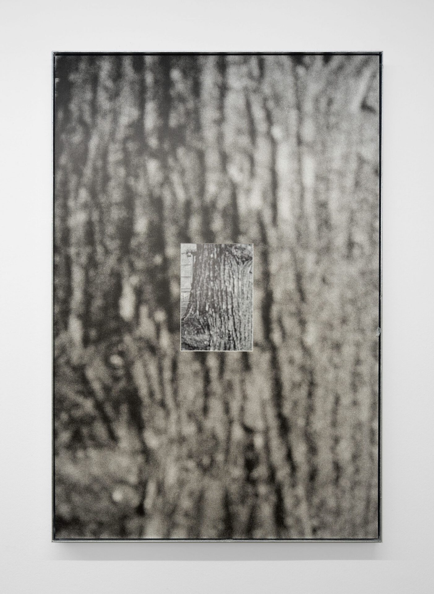 Christin Kaiser,Baumwall (HdK 2), 2021 B/w-archival print in artist frame, steel, zinc coated 119 x 79 x 4 cm