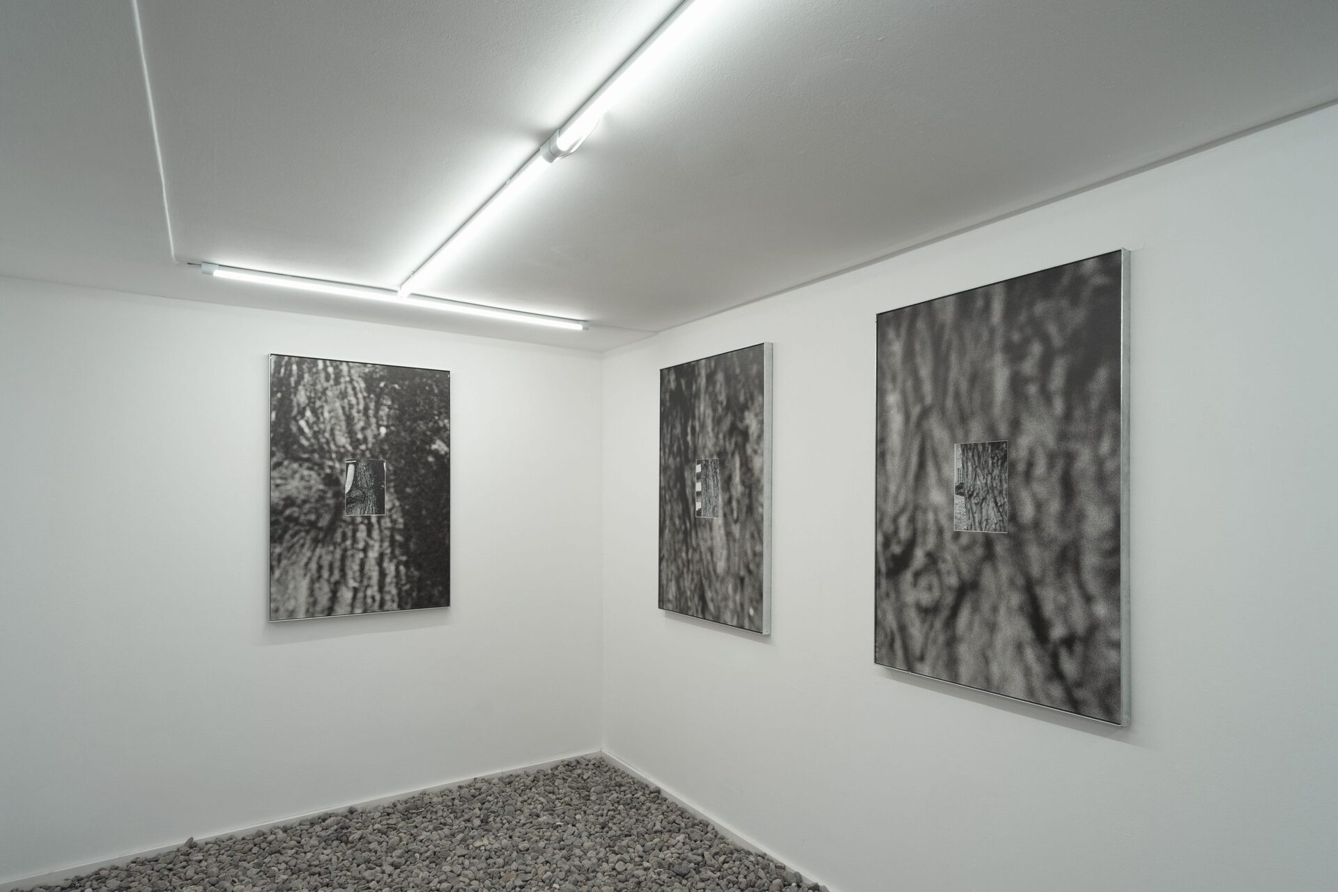 Installation view: Christin Kaiser, "Künftige Ruinen", Åplus Berlin, 2021