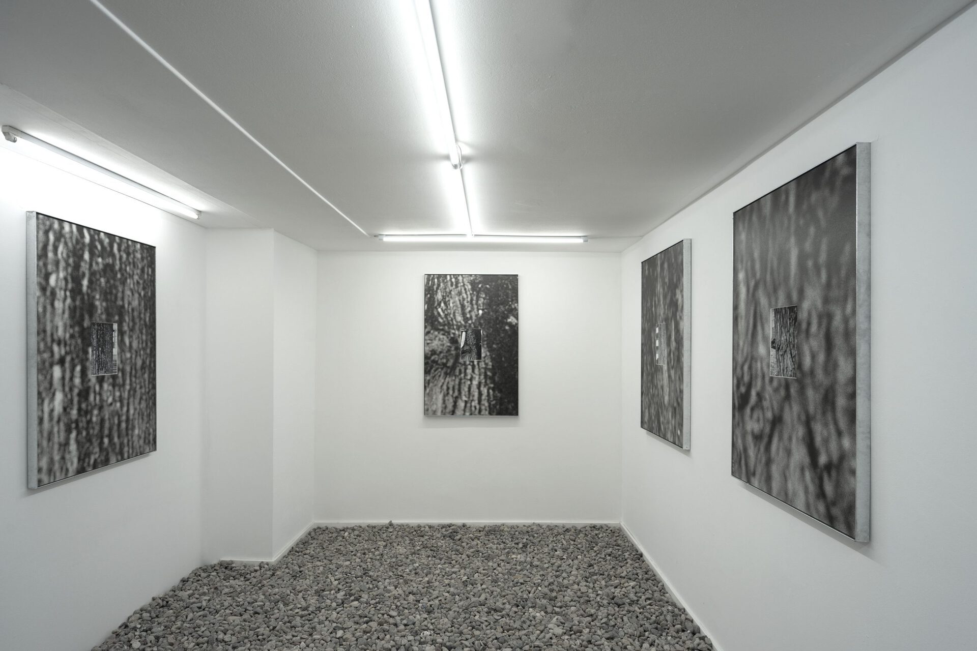 Installation view: Christin Kaiser, "Künftige Ruinen", Åplus Berlin, 2021