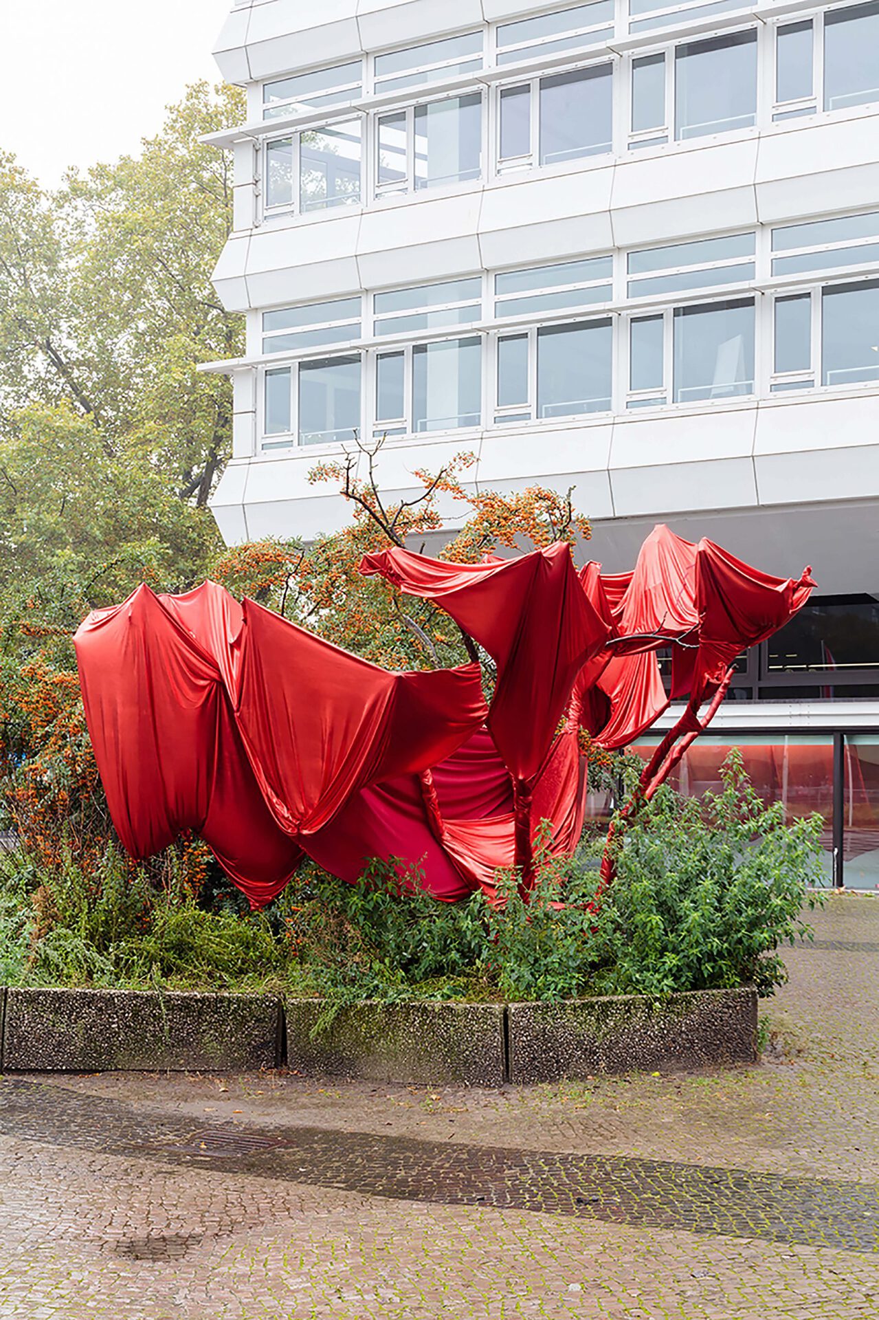 Vera Young, How a tree dies, 2021, site specific installation, red textile, mixed media