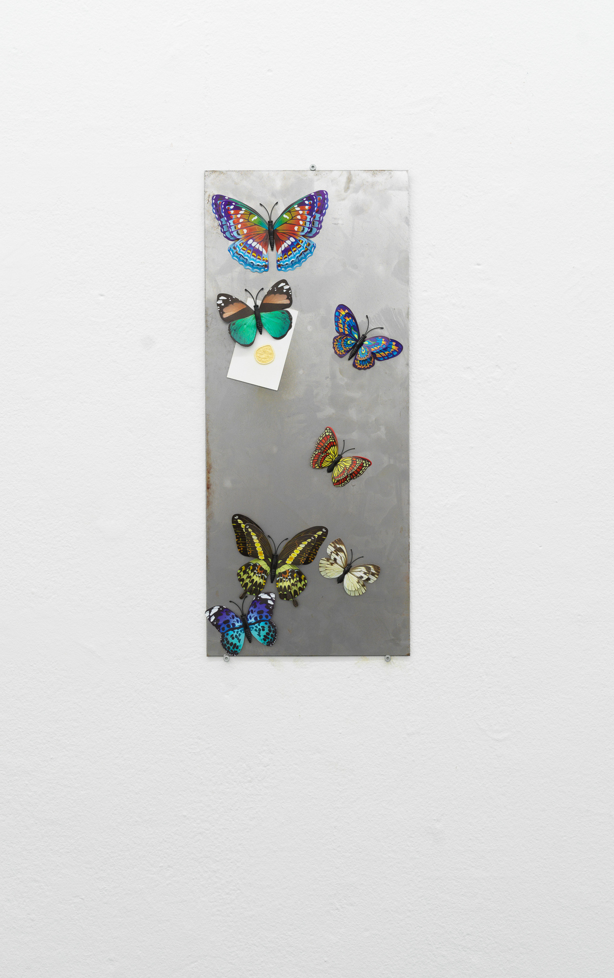 Artist: Theodor Nymark  Title: Bulletin. 1  Year: 2021  Materials: Magnetic butterflies &amp; businesscard from Le Gourmand with stain from MDMA purification testkit attached to iron plate.