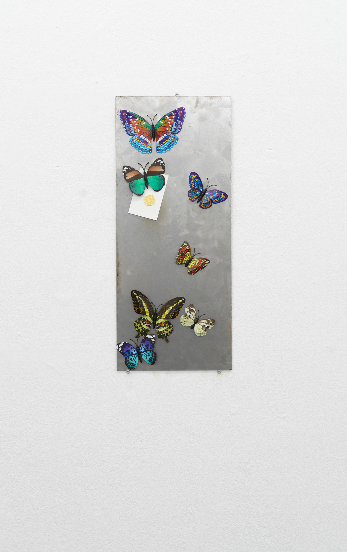 Artist: Theodor Nymark Title: Bulletin. 1 Year: 2021 Materials: Magnetic butterflies & businesscard from Le Gourmand with stain from MDMA purification testkit attached to iron plate.