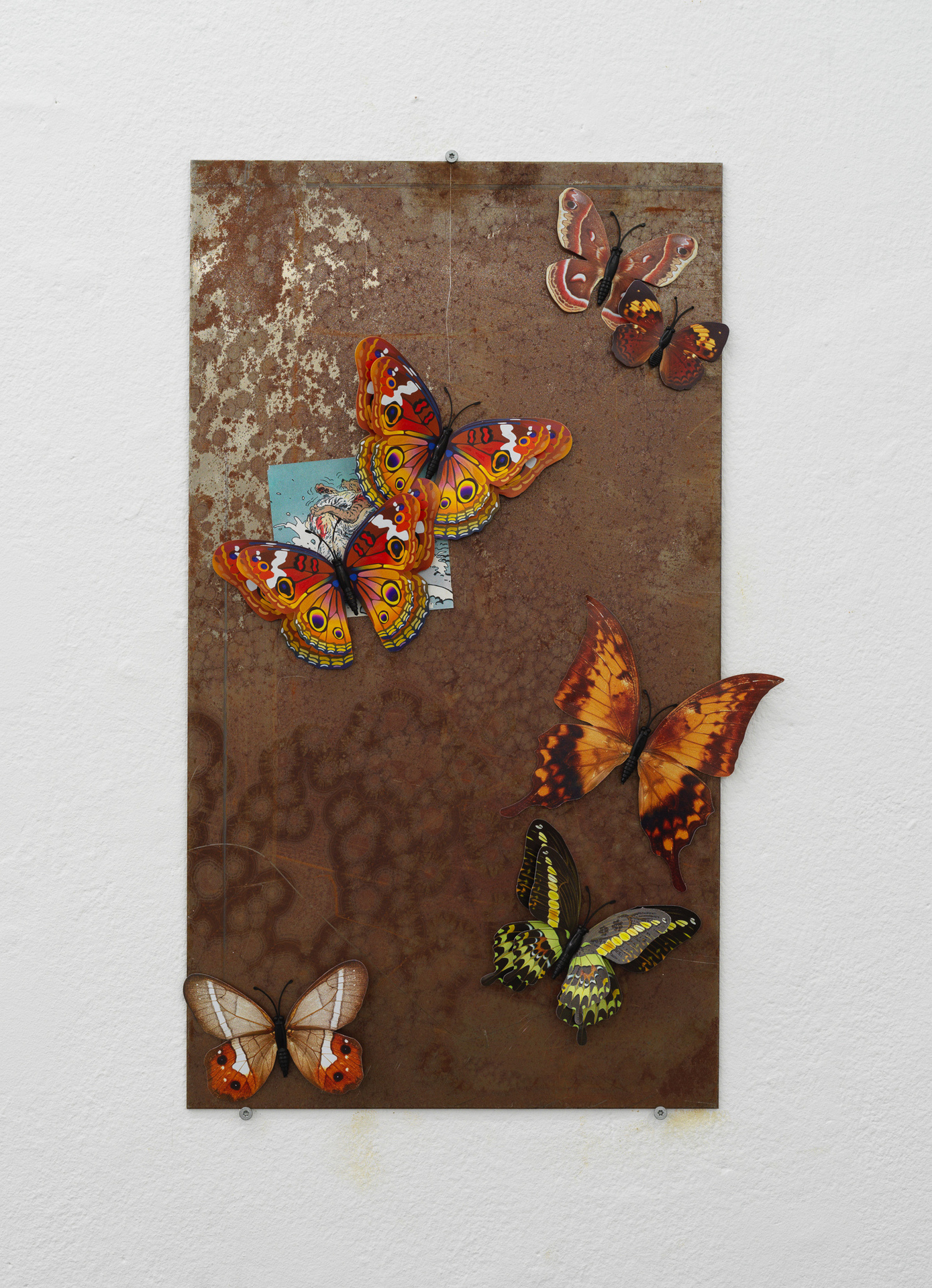 Title: Bulletin. 4   Year: 2021  Materials: Magnetic butterflies &amp; paper cutout from cartoon attached to iron plate.