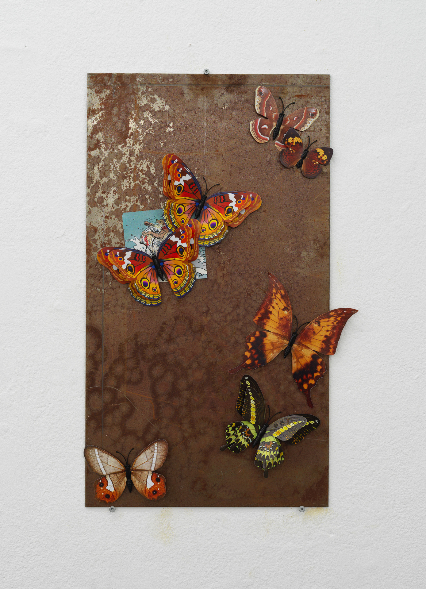 Title: Bulletin. 4 Year: 2021 Materials: Magnetic butterflies & paper cutout from cartoon attached to iron plate.