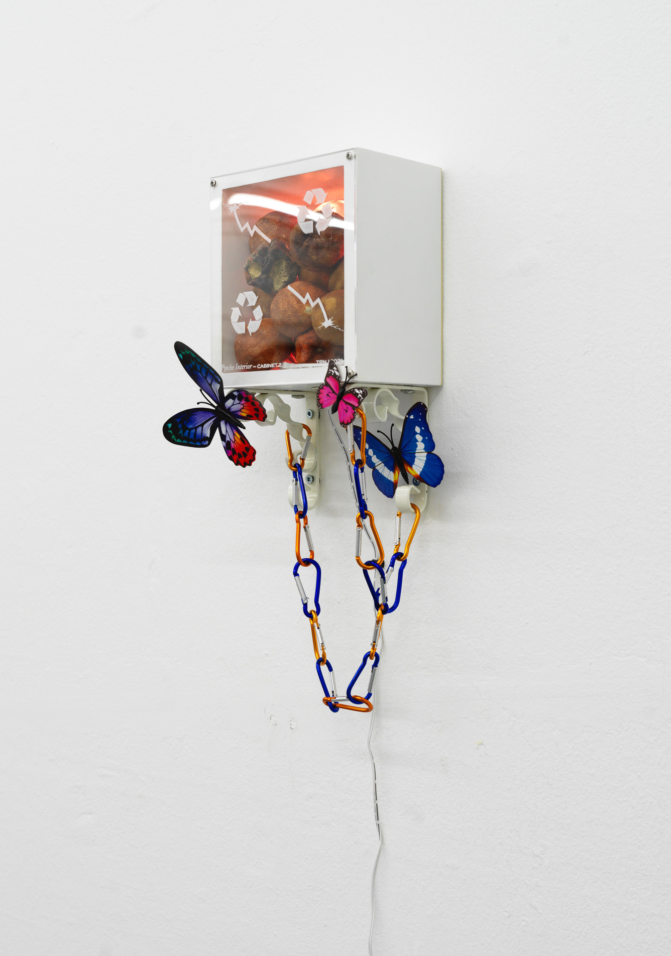 Artist: Theodor Nymark Title: Psyche Interior — Cabinet. 2 Year: 2021 Materials: Bookcase, LED light, laser engraved plexiglas, magnetic butterflies, carabiners, ornamented shelf brackets and custom electrical cord. Contents: Dried mandarins.