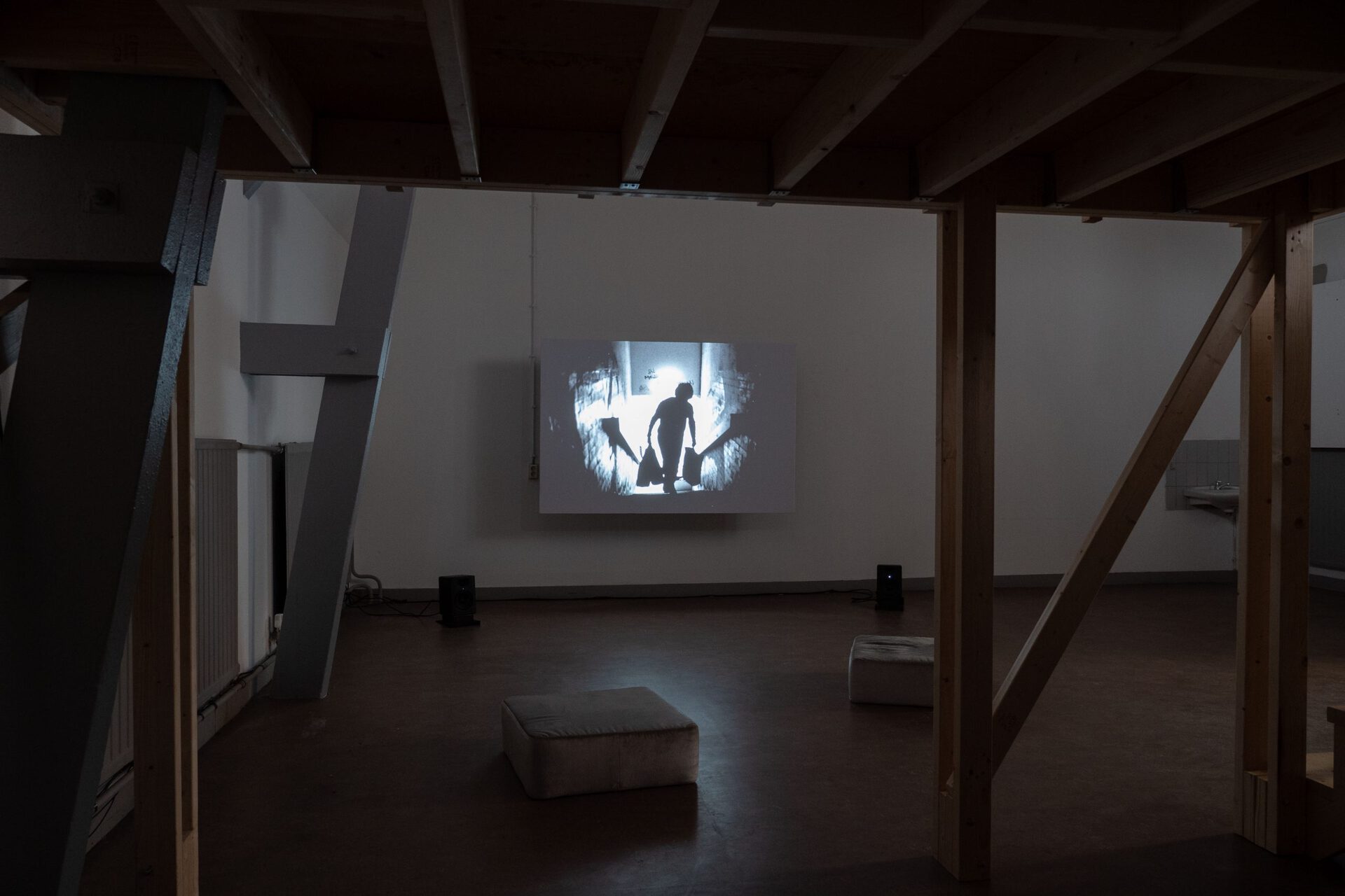 Margaret Salmon, Lens Diary, 2020 HD Video, 20mins