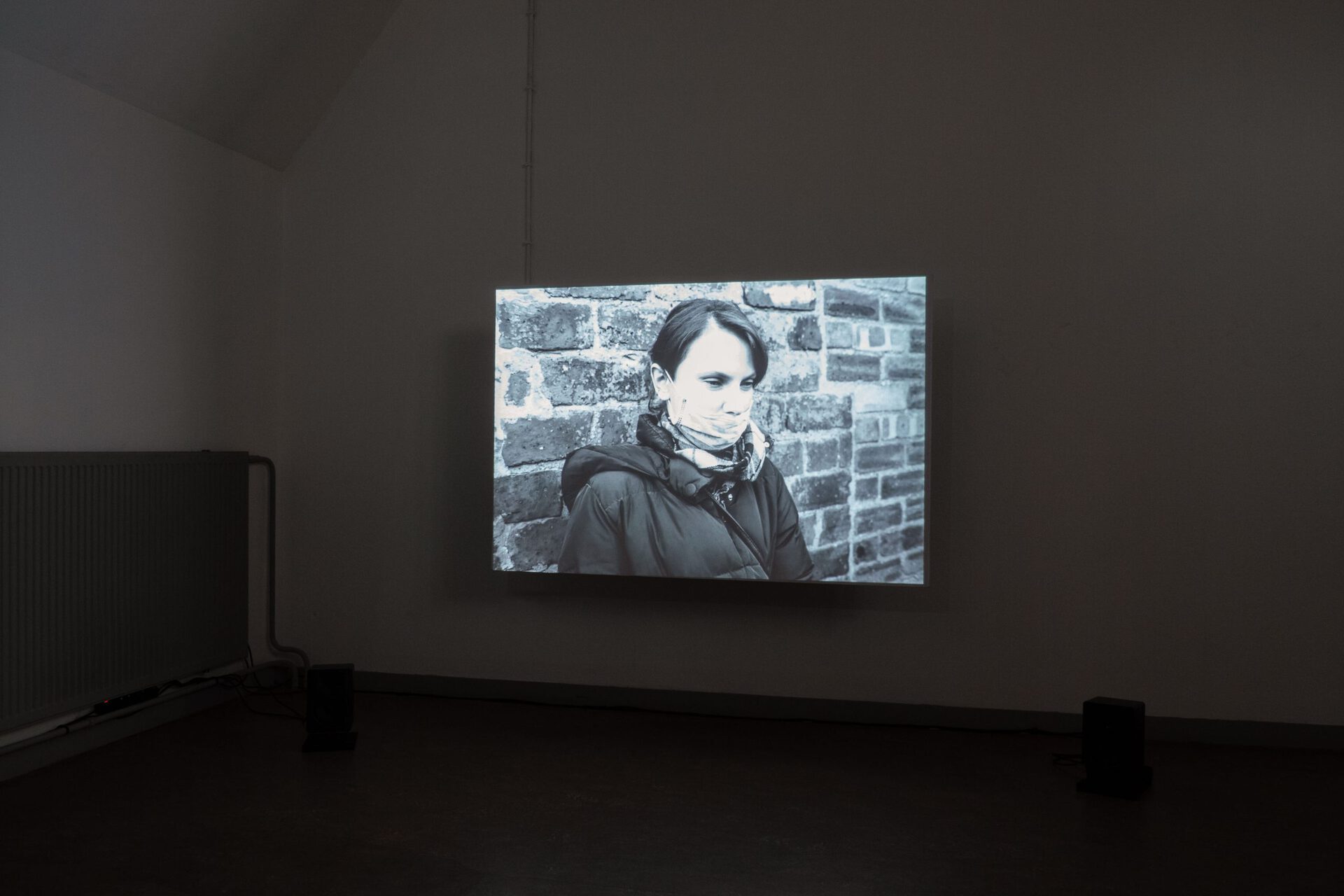 Margaret Salmon, Lens Diary, 2020 HD Video, 20mins