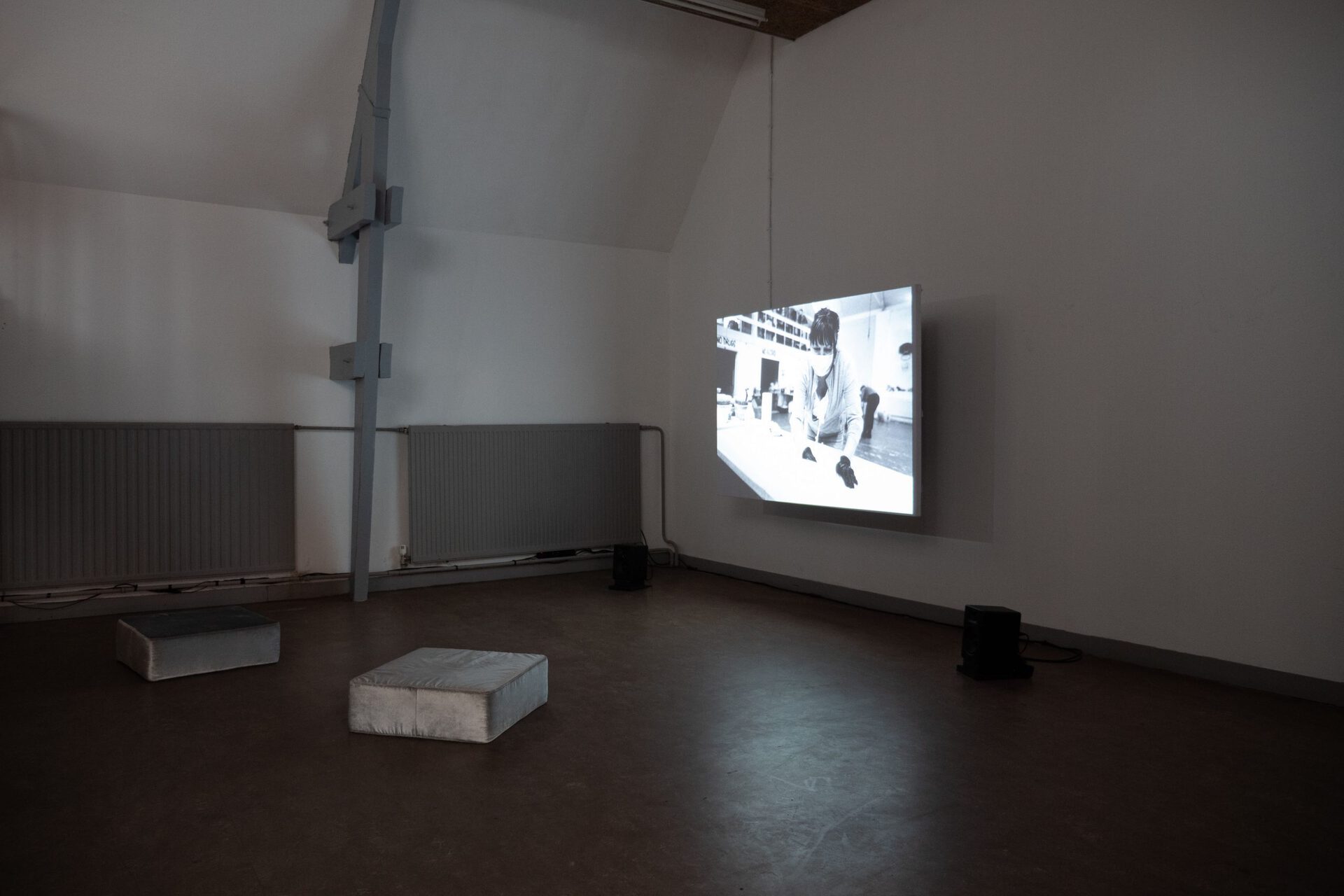 Margaret Salmon, Lens Diary, 2020 HD Video, 20mins