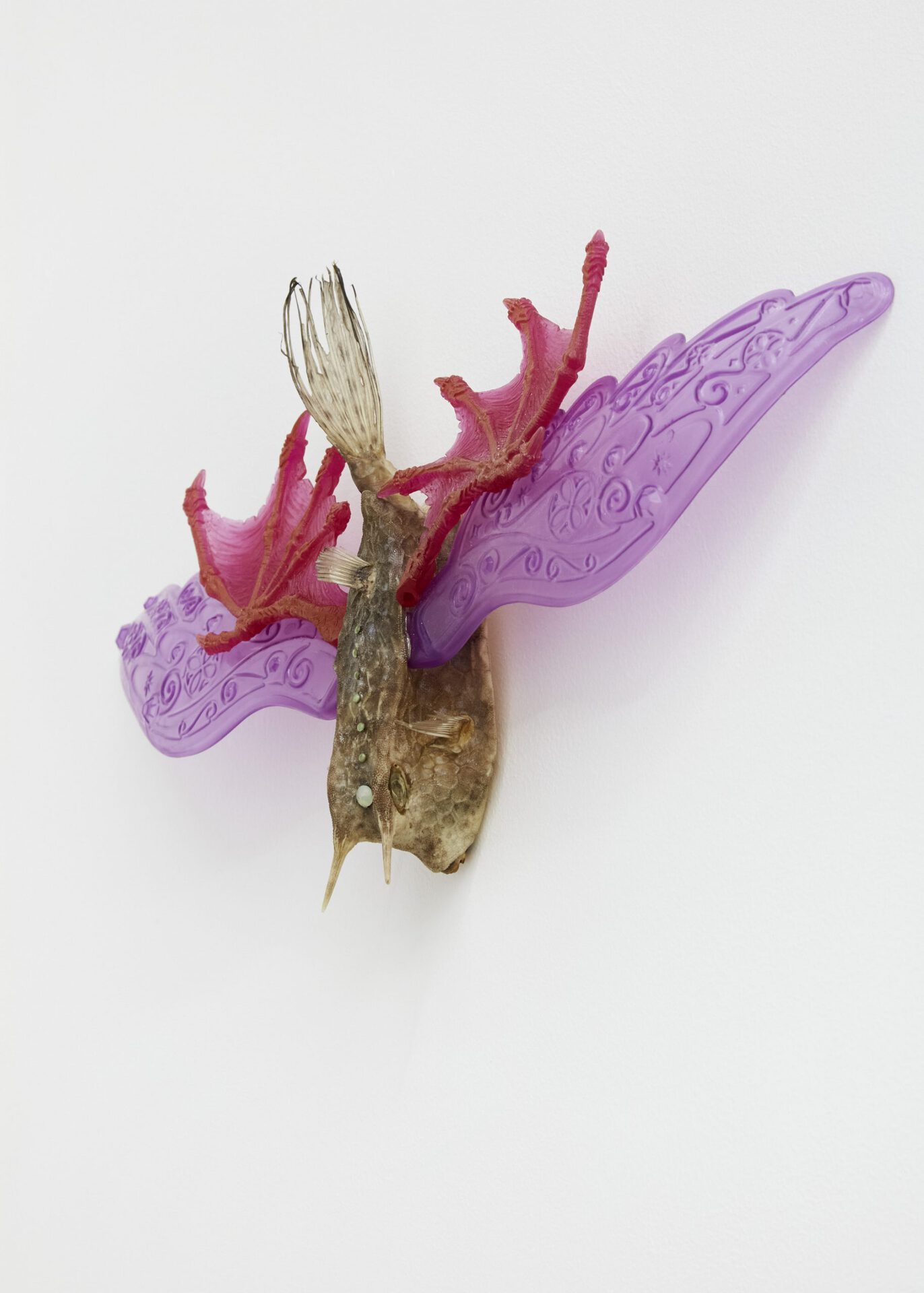 Julie Maurin, You a Fairy, 2021. Lactoria cornuta fish, swarovski strass, two pairs of plastic wings, 41 x 23 x 5 cm