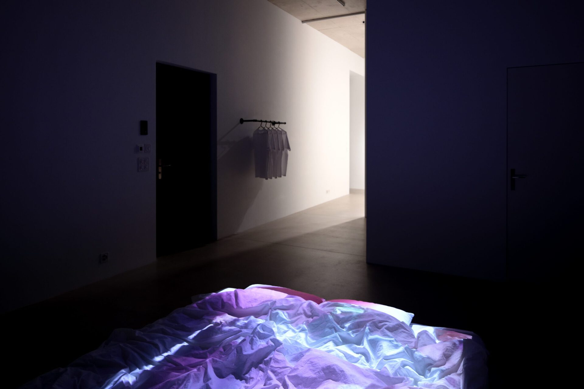 Isabella Fürnkäs, Siamese Dreams at Windhager von Kaenel, Zurich, 2021