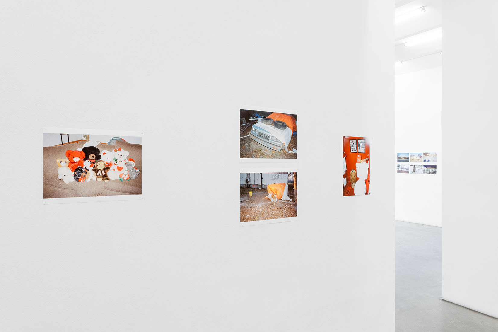 Exhibition view Juergen TELLER + Harmony KORINE | WILLIAM EGGLESTON 414, Christine König Galerie, Vienna 2021