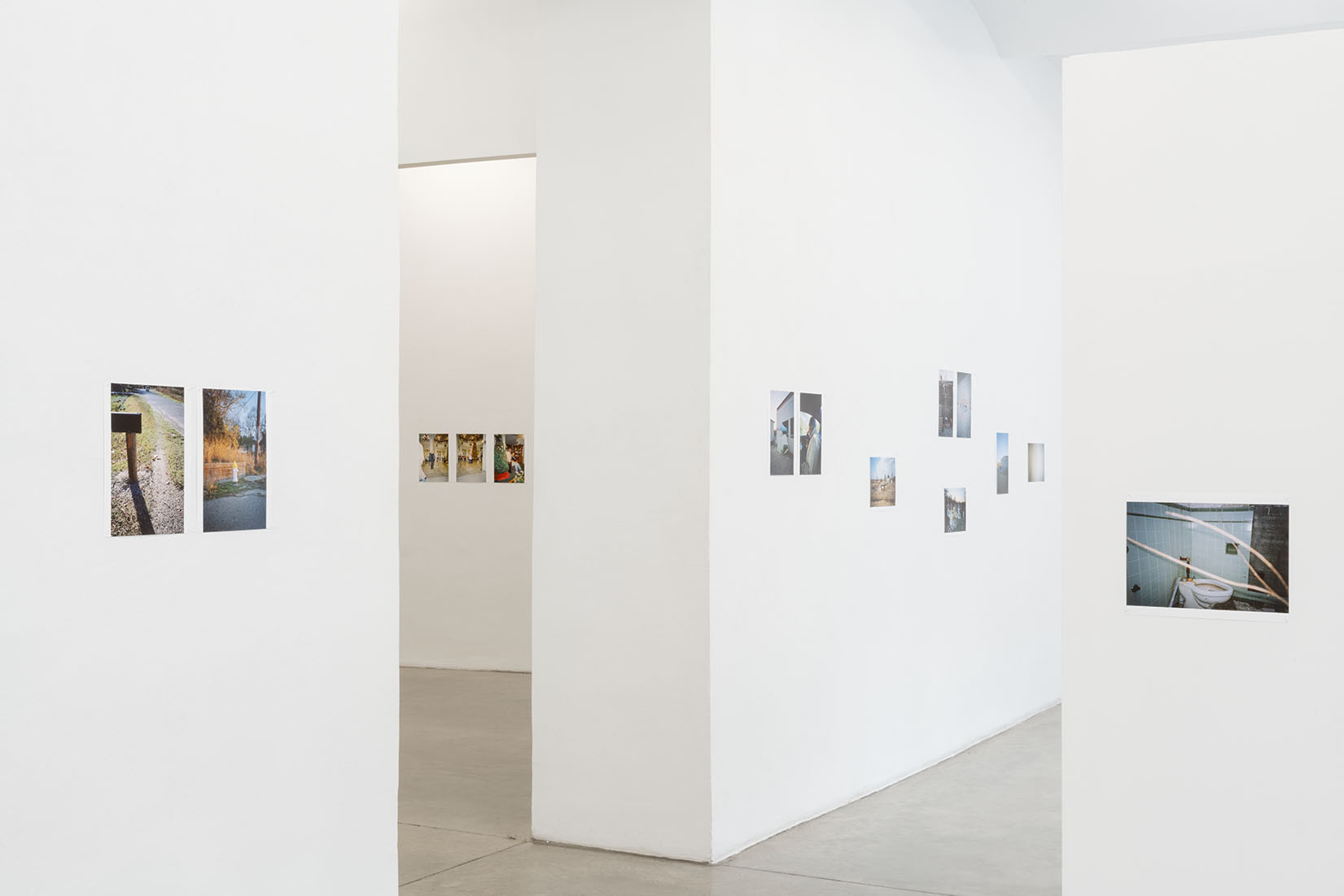 Exhibition view Juergen TELLER + Harmony KORINE | WILLIAM EGGLESTON 414, Christine König Galerie, Vienna 2021