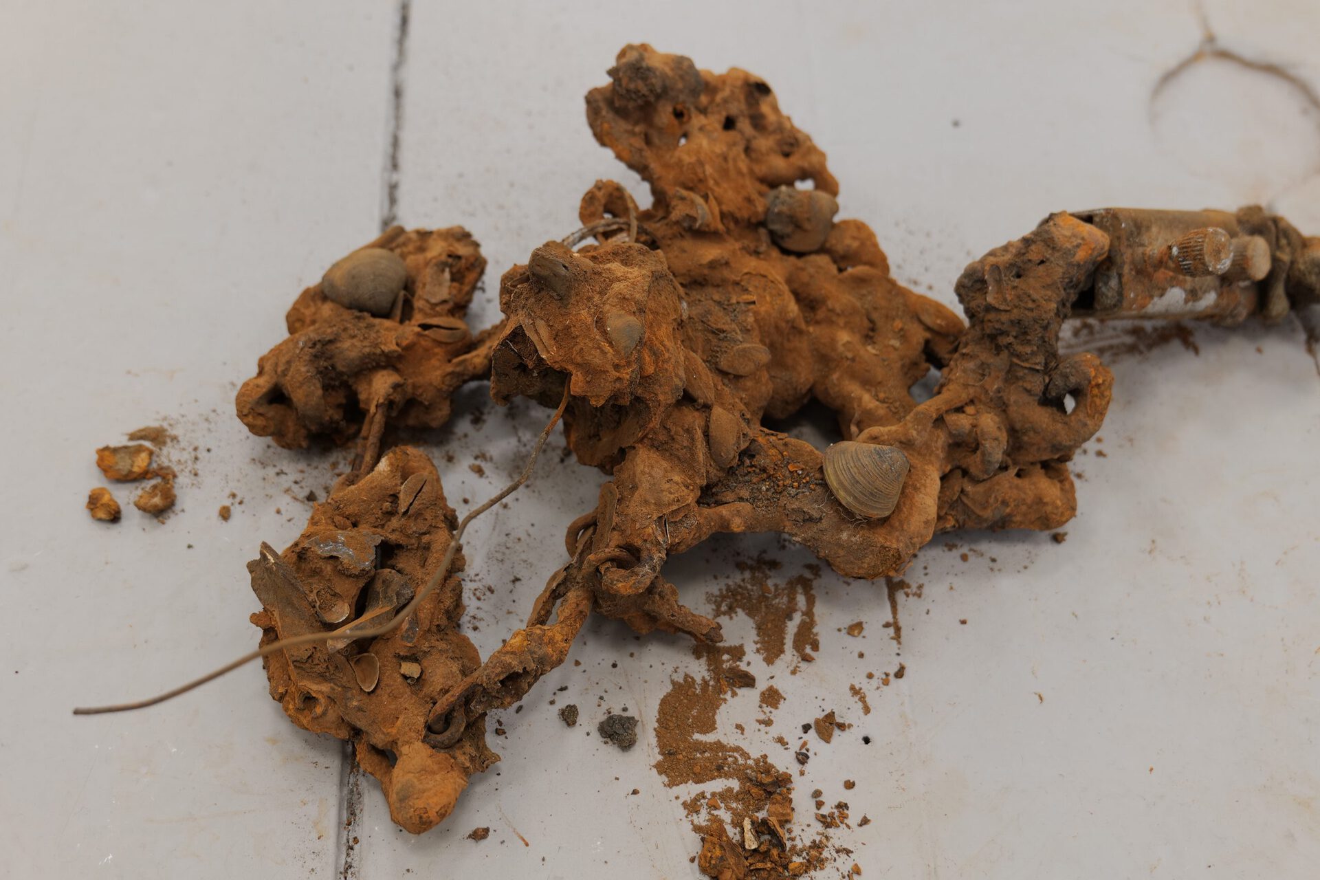 Rodrigo Red Sandoval, Pupils detail 3, 2021, mixed media, 4oox100x45cm