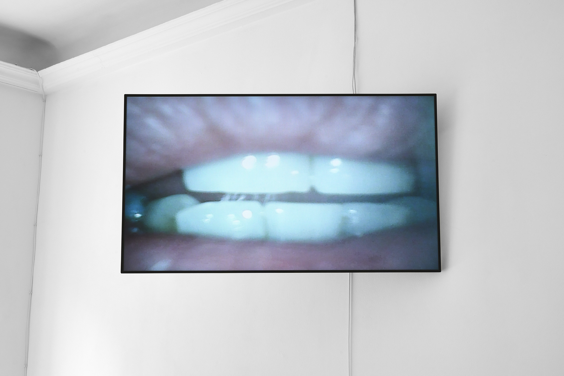 Shane, 2021, two 48 inch flatscreens with customised wall mounts, coins, bottle caps, 11 min 44 sec, looped, speakers, dimensions variable (detail)