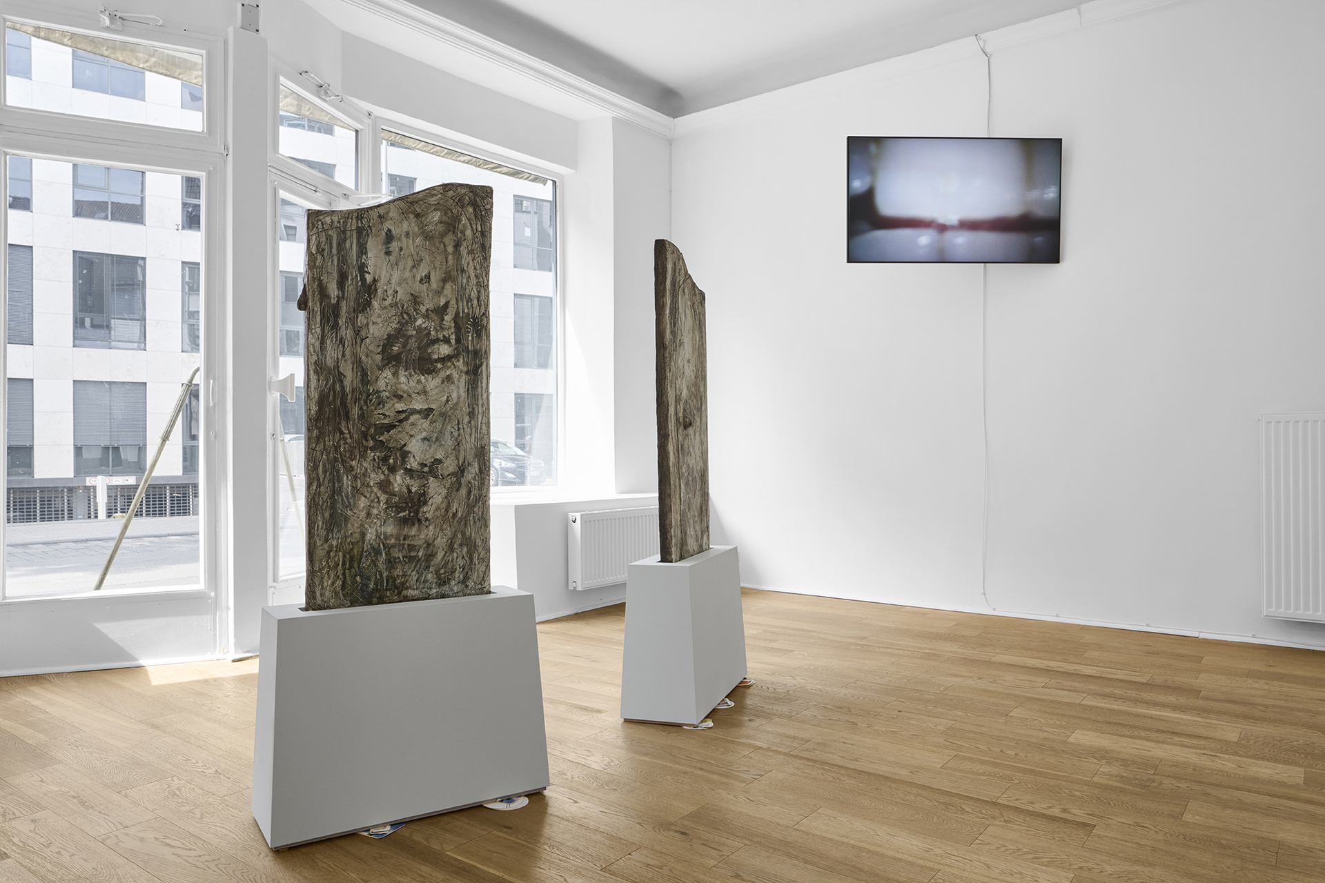 Installation view