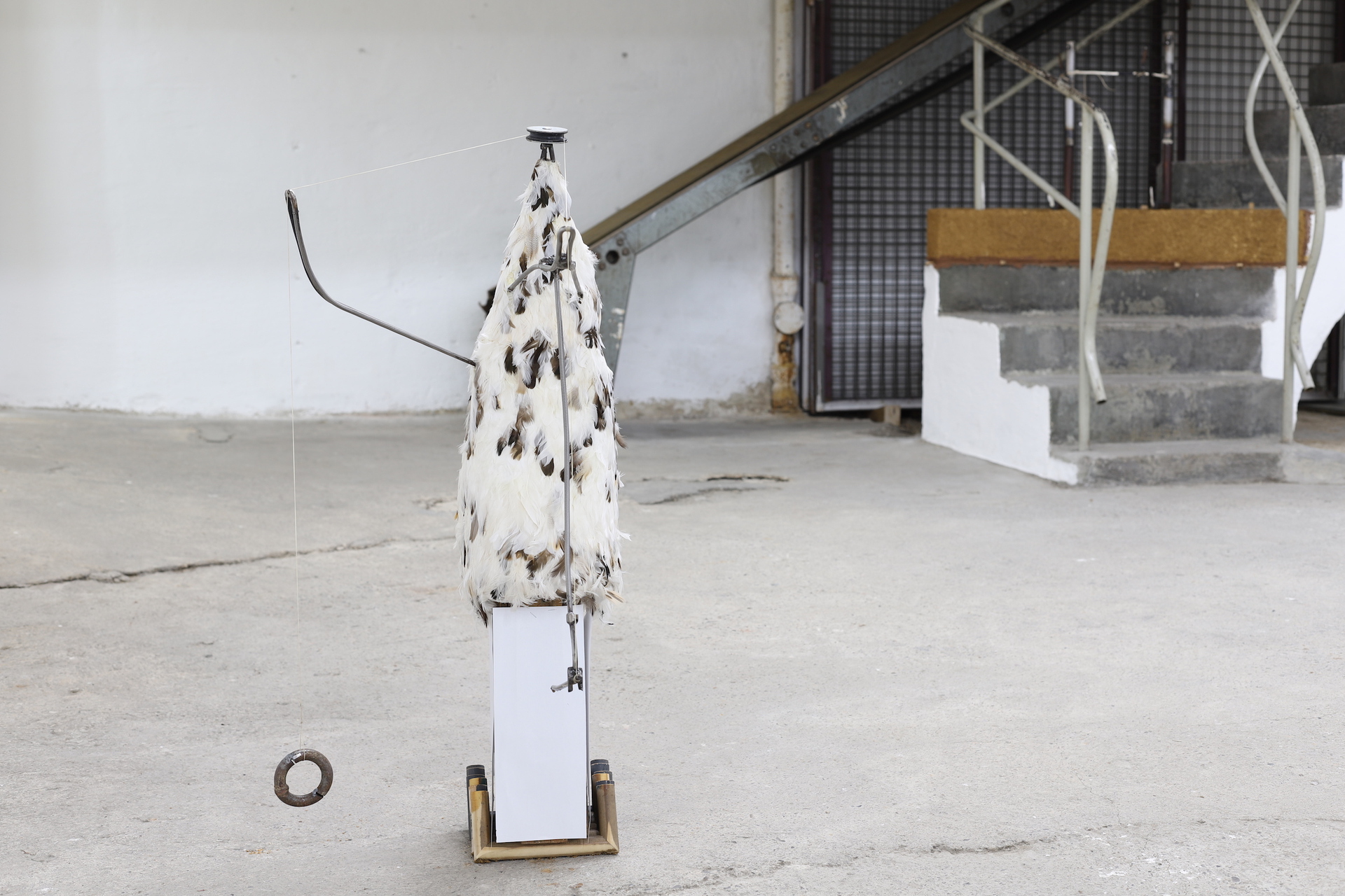 Untitled, 2012-20, instalation view