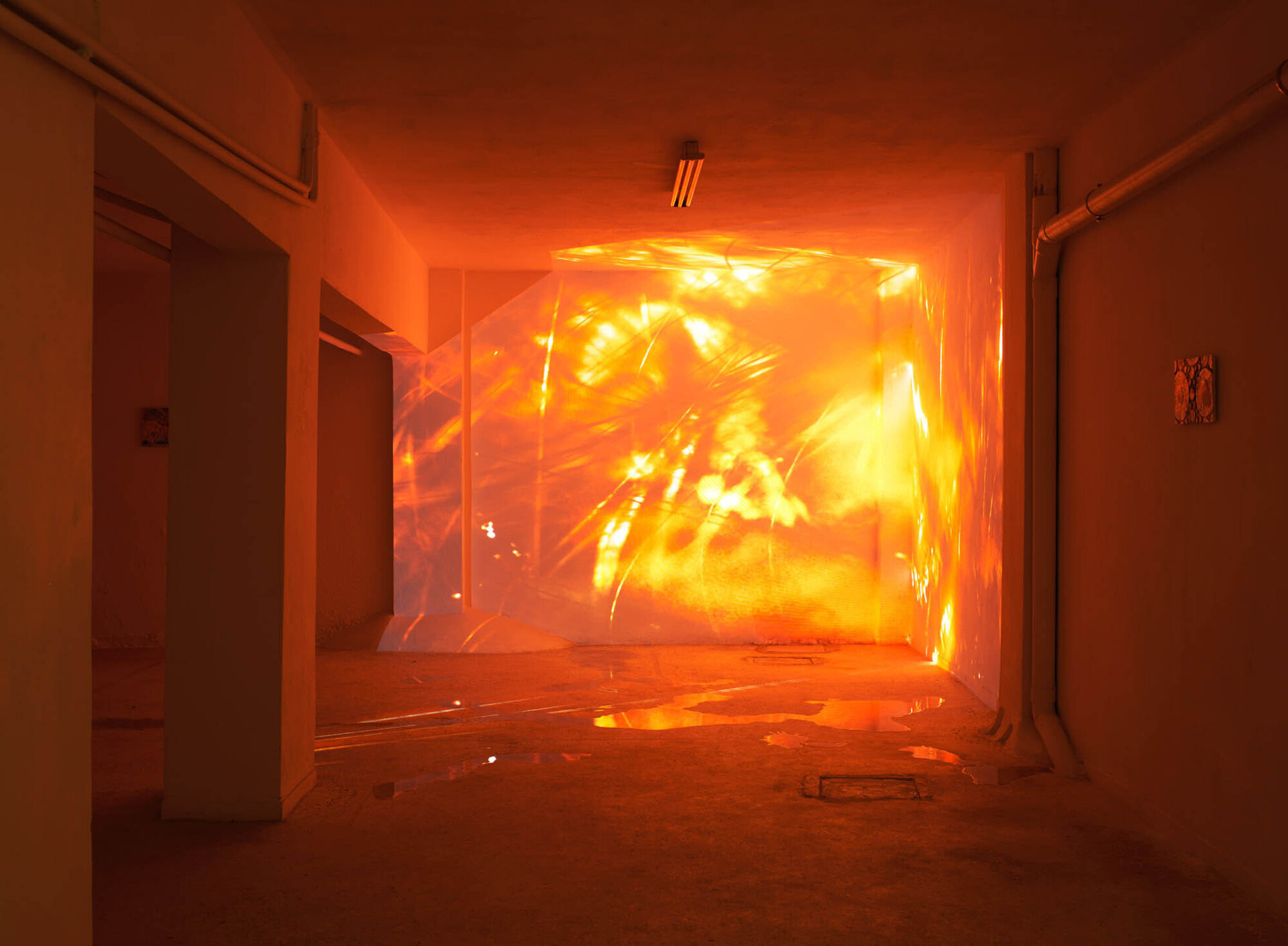 Installation view