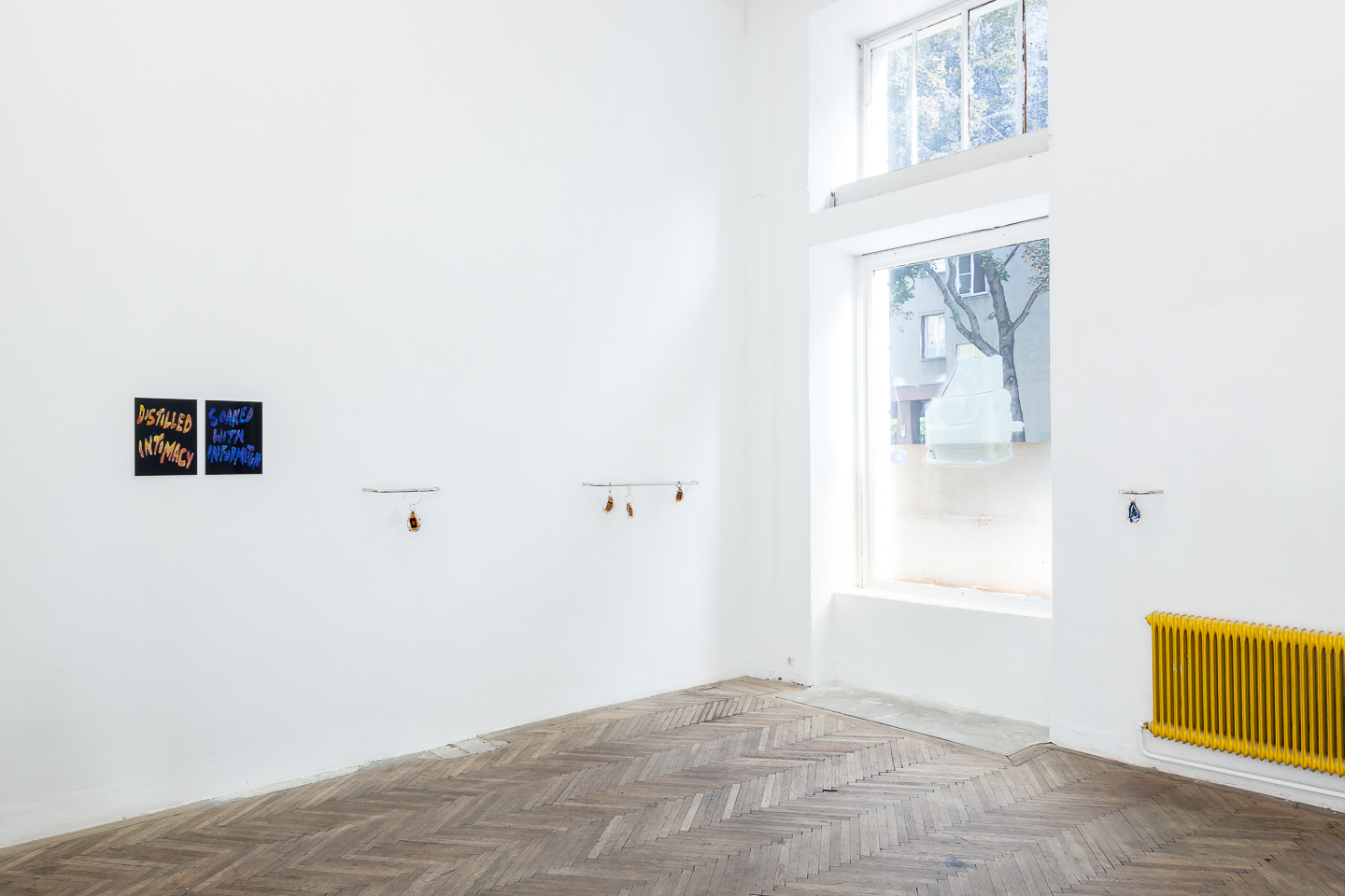 Clémentine Coupau, Trapped Pavlovas, exhibition view, 2021