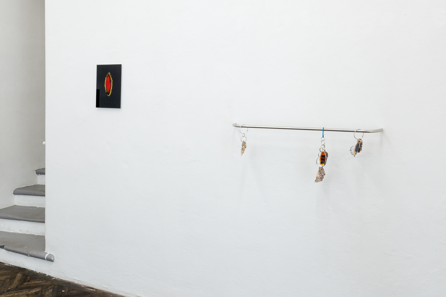 Clémentine Coupau, Trapped Pavlovas, exhibition view, 2021