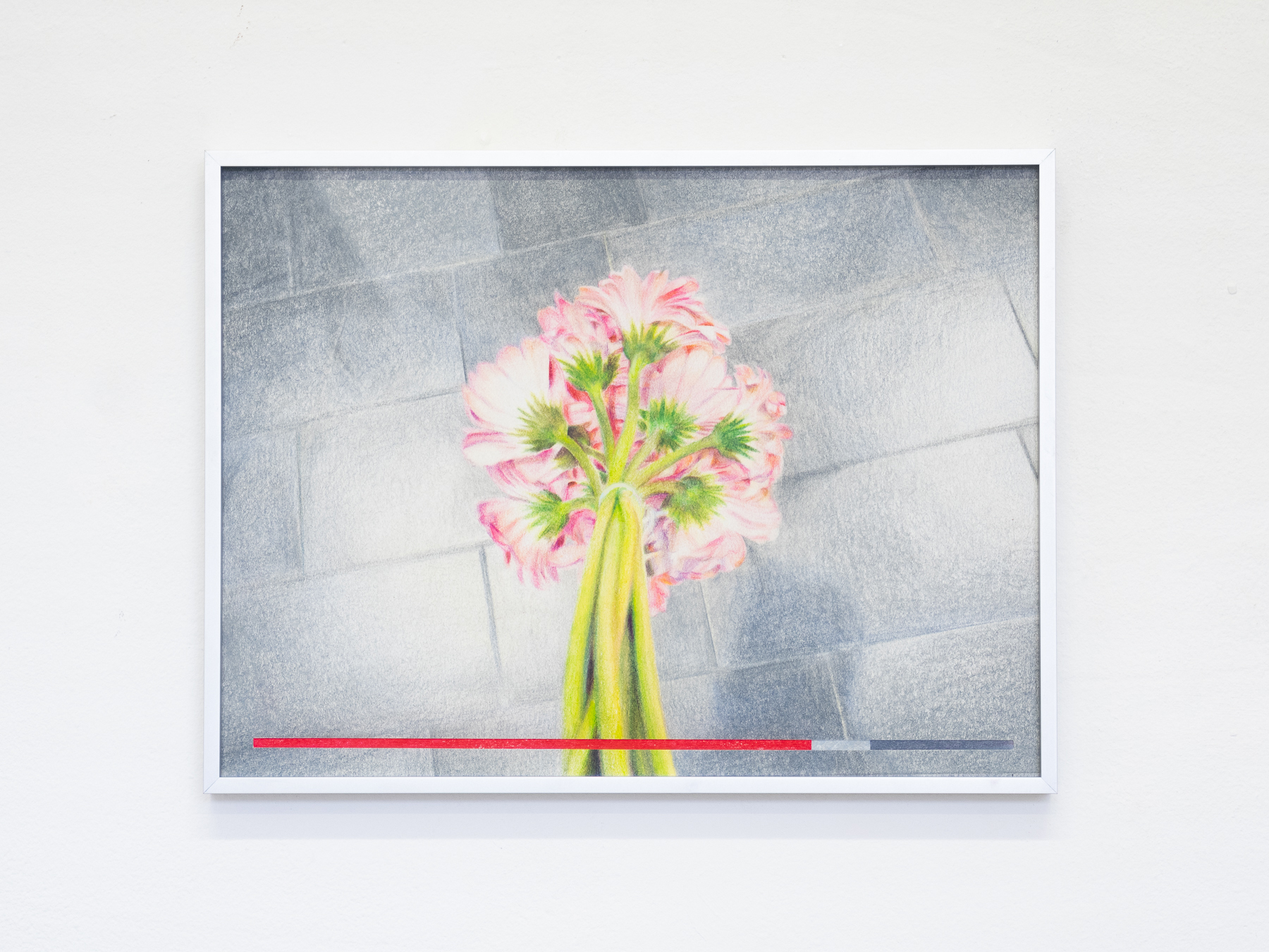 Nicholas Stewens, Don’t Mention It, 2021, Framed coloured pencil on paper, 30 x 40 cm