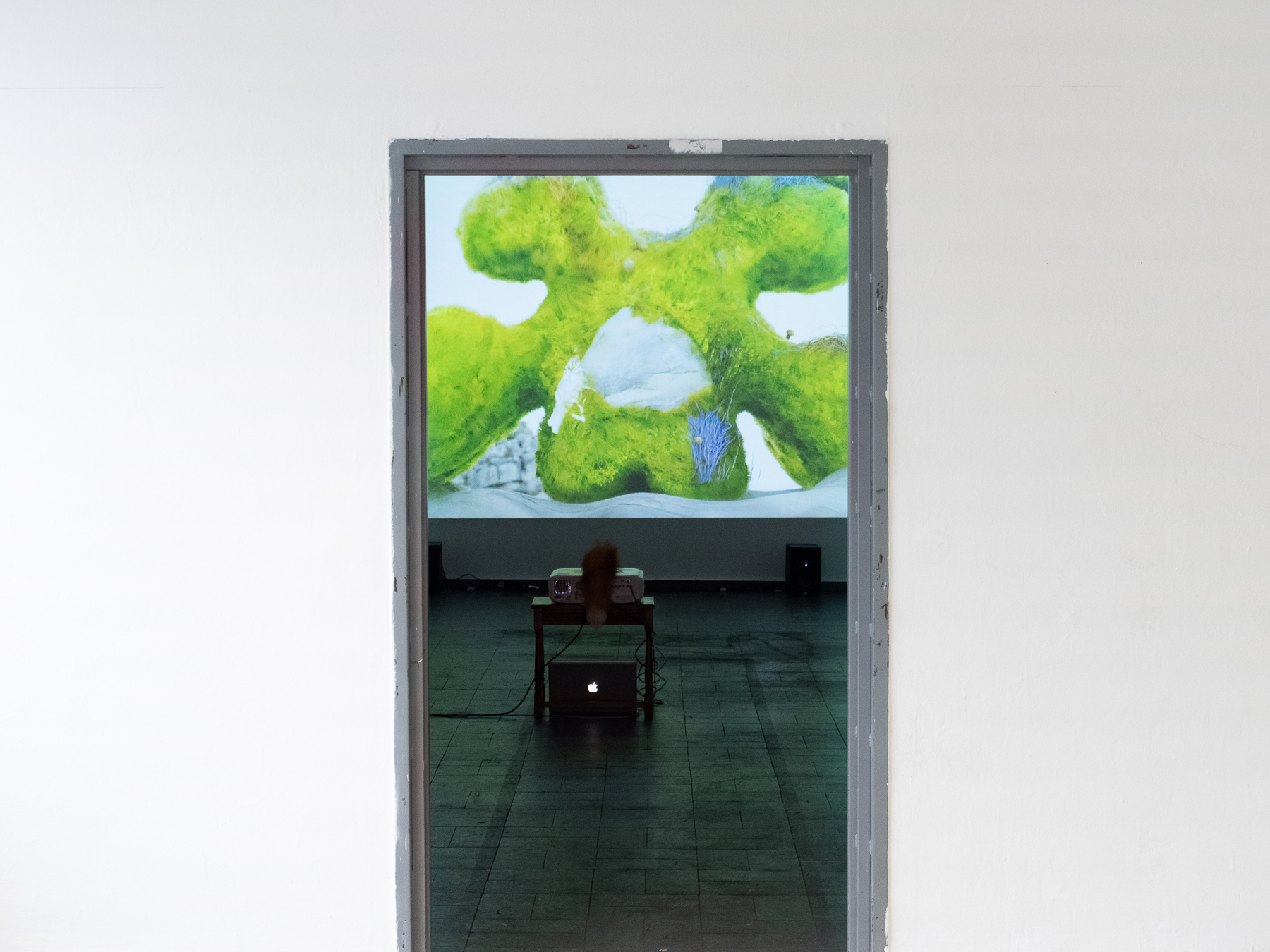 Linus Berg, All Systems Go!, 2021, Projection, Video loop, 1:45