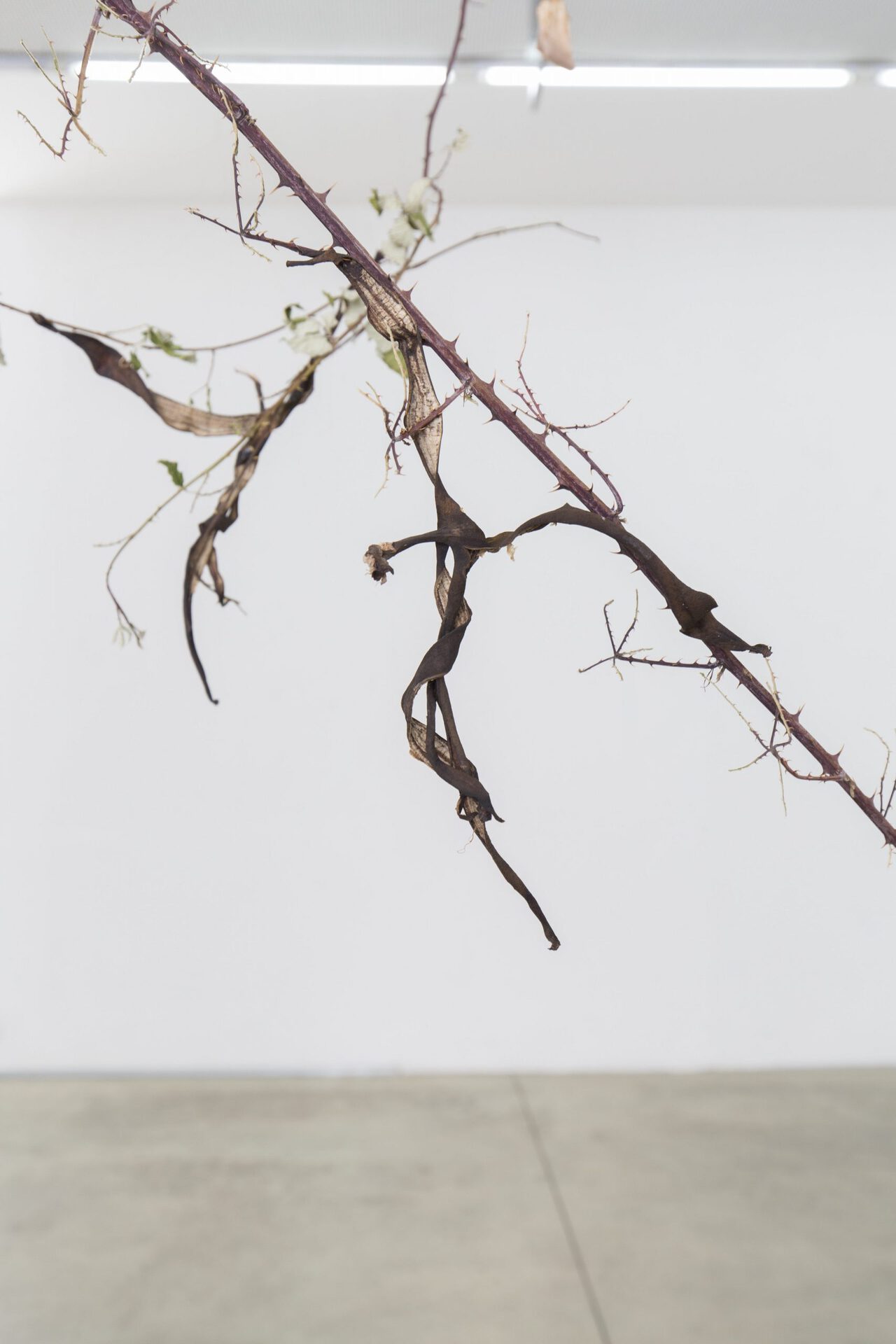 13. Pietro Agostoni, The Crucifixion of Banana-Bats, detail, 2021 Photo by Gabriele Abbruzzese.