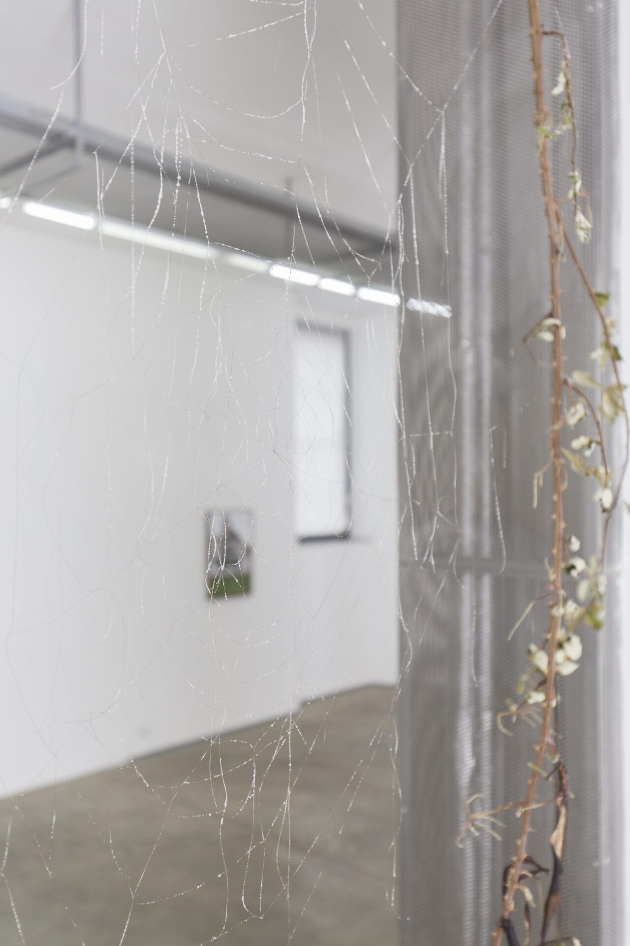 14. Pietro Agostoni, The Crucifixion of Banana-Bats, detail, 2021 Photo by Gabriele Abbruzzese.