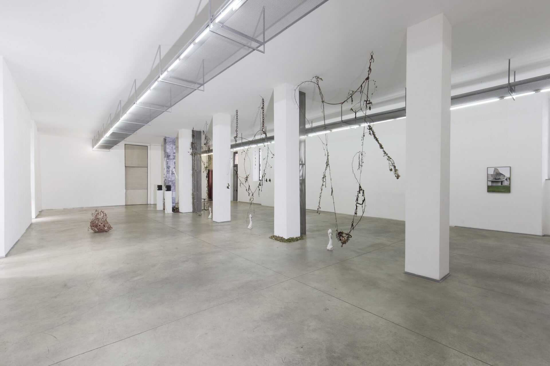 24. Pietro Agostoni, Why me?, exhibition view, Associazione Barriera, 2021. Photo by Gabriele Abbruzzese.