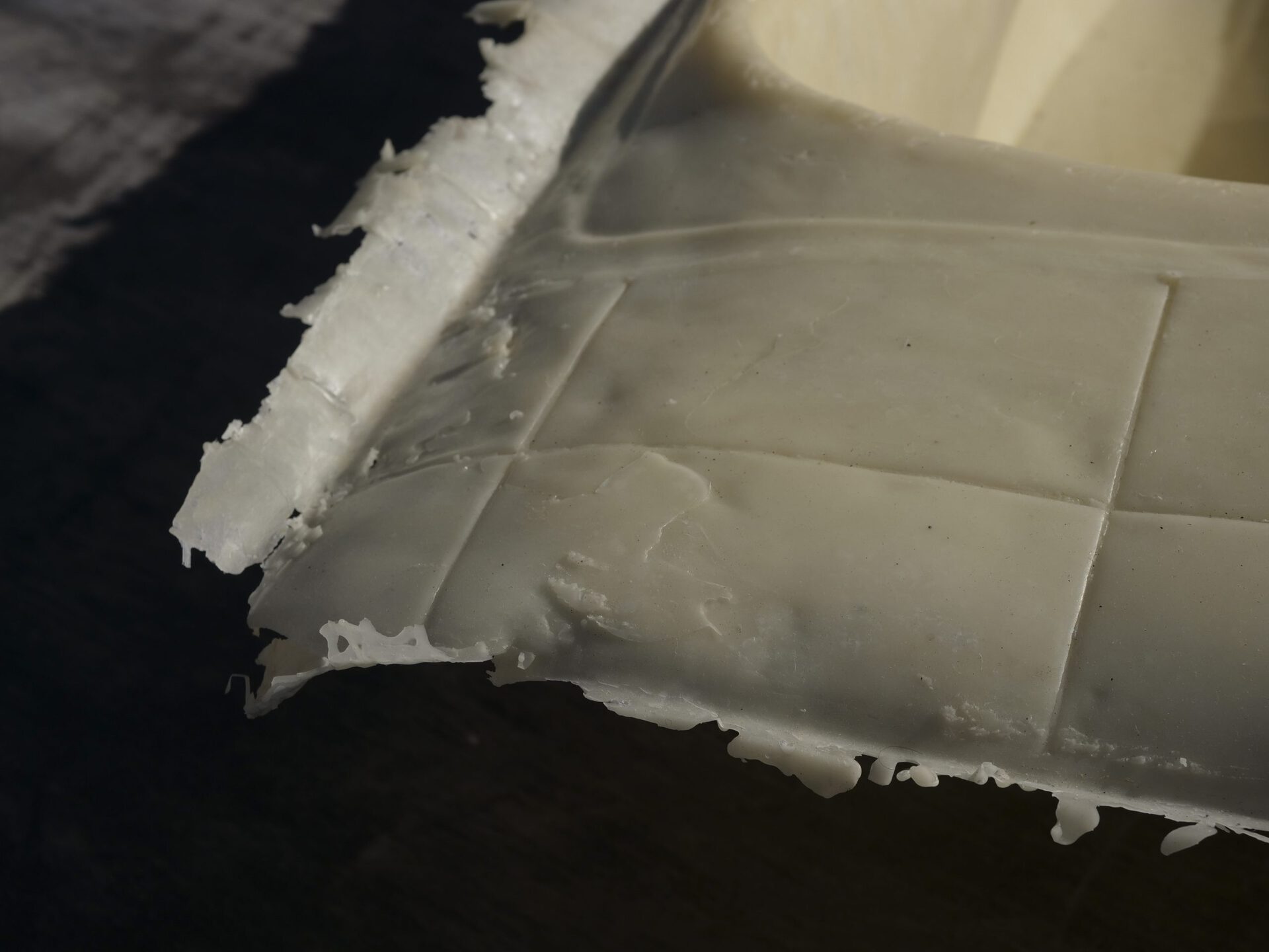 Victor Santamarina, Autoconservación, 2021, wax detail