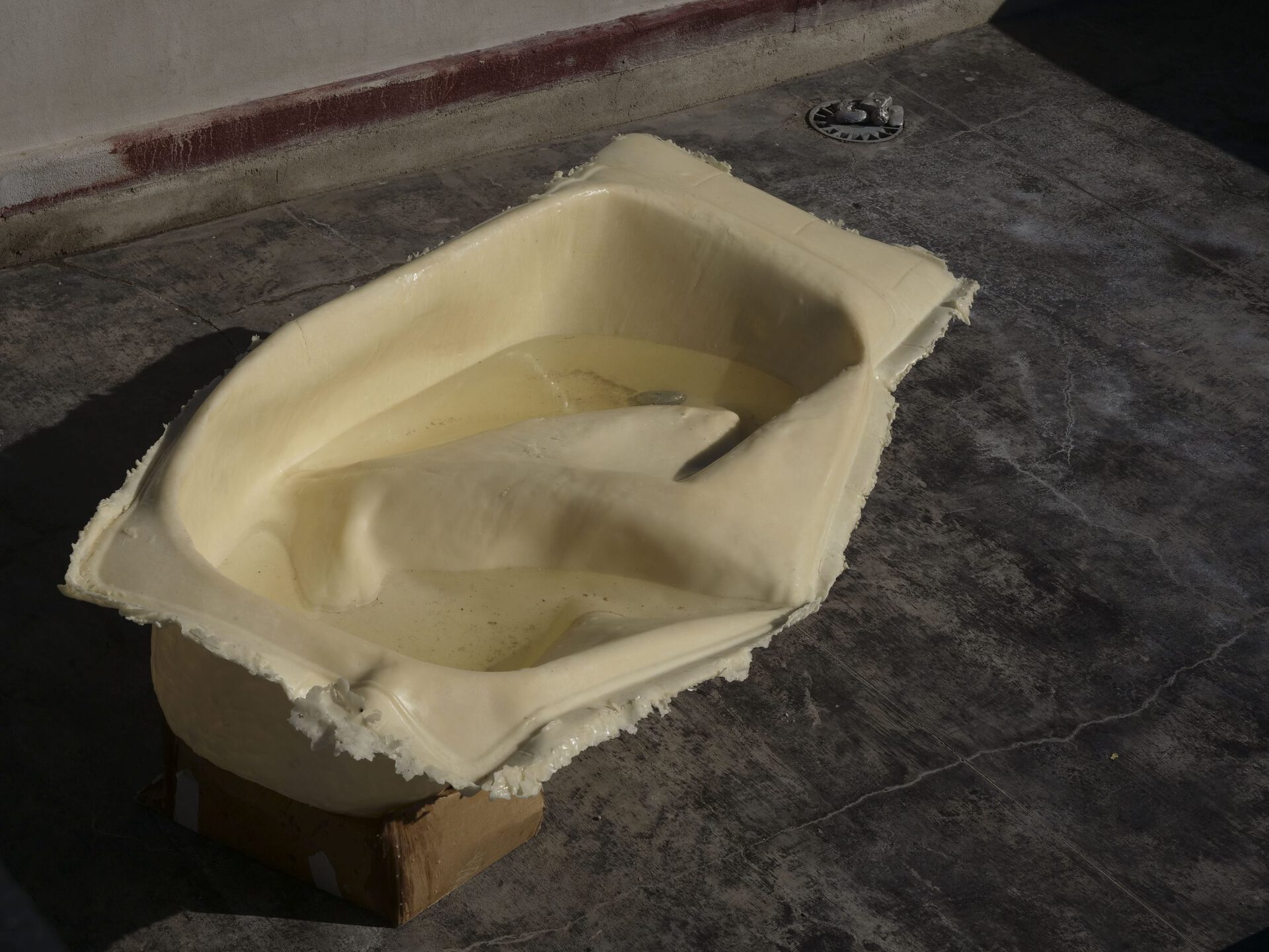 Victor Santamarina, Autoconservación, 2021, wax, cardboard and aluminium