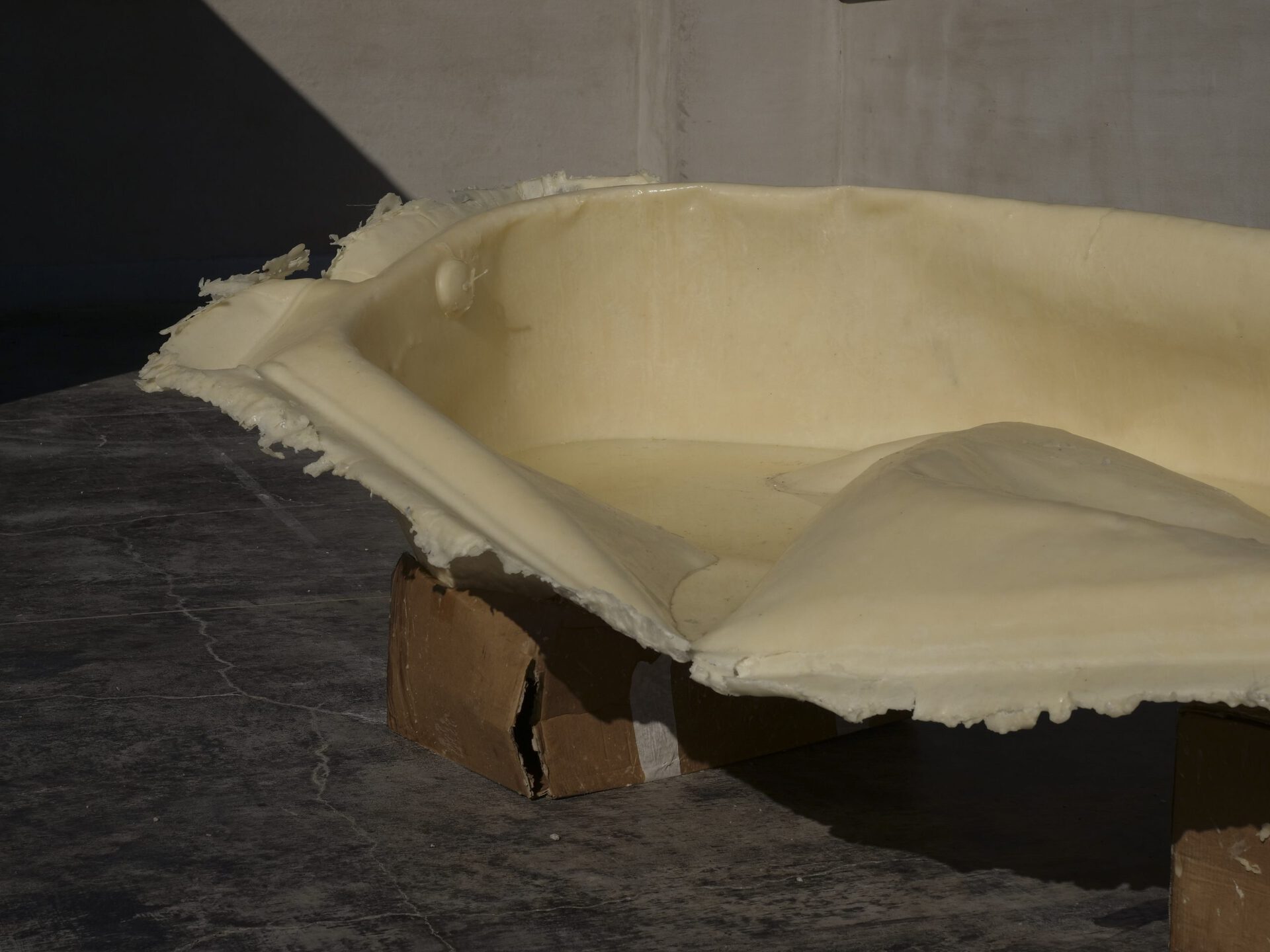 Victor Santamarina, Autoconservación, 2021, wax and cardboard