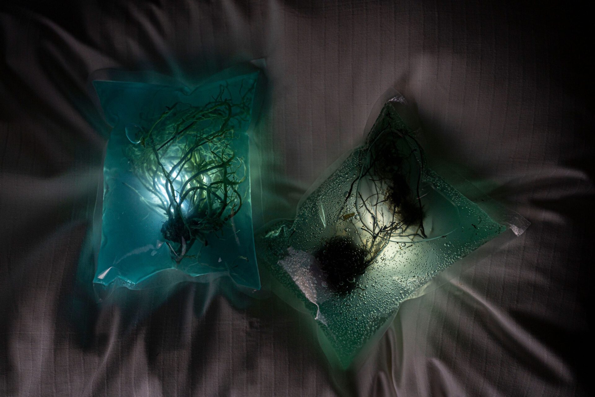 Dan Brown Brønlund “Exogel” (2021) Roots, textile, clay, chalk, pigment, foodcoloring, water, vacuum bags, LED lights. Dimensions variable .