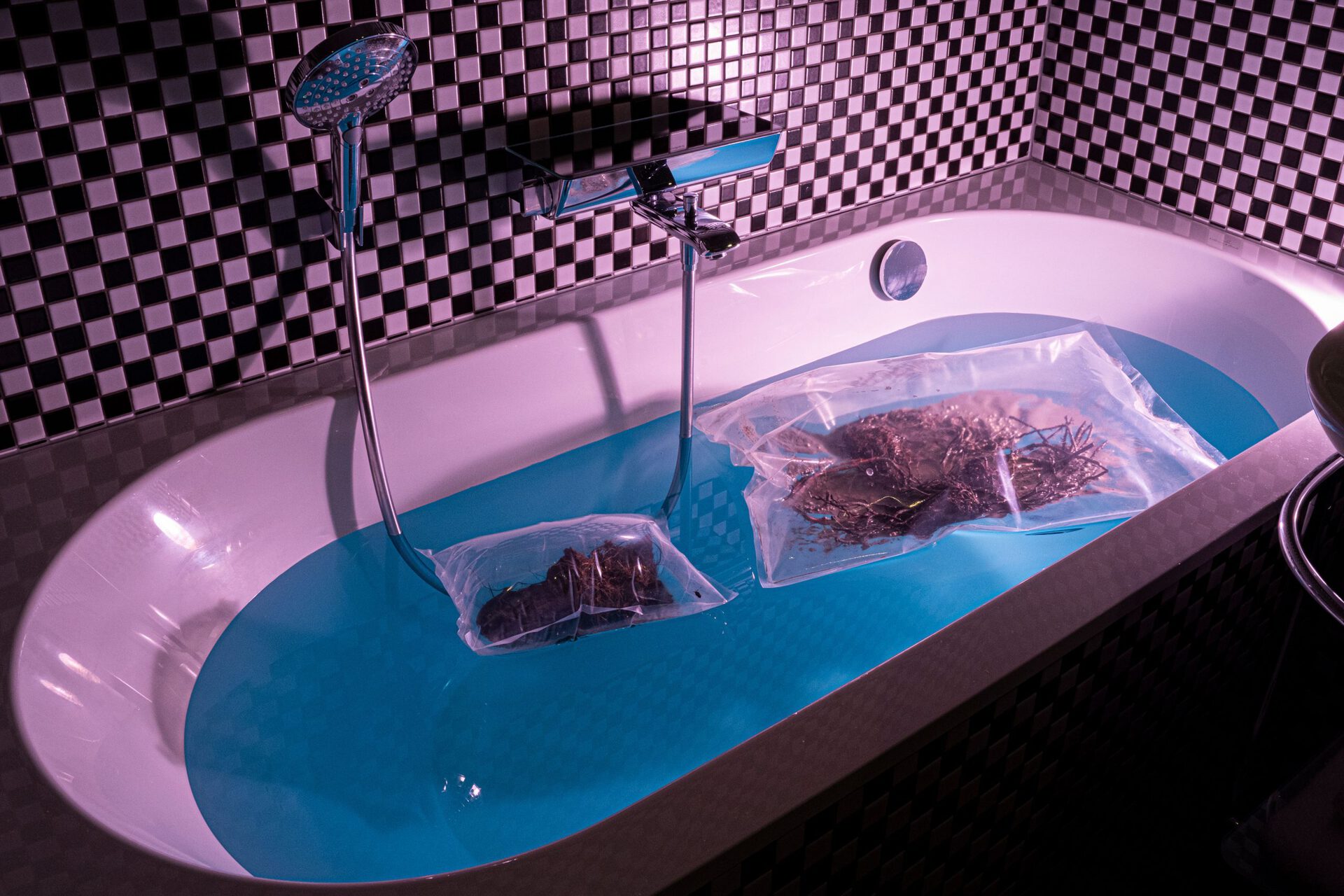 Dan Brown Brønlund “Terraformers” (2021) Roots, clay, chalk, pigments, leaves, water,  vacuum bags, grow lights.  Dimensions variable.