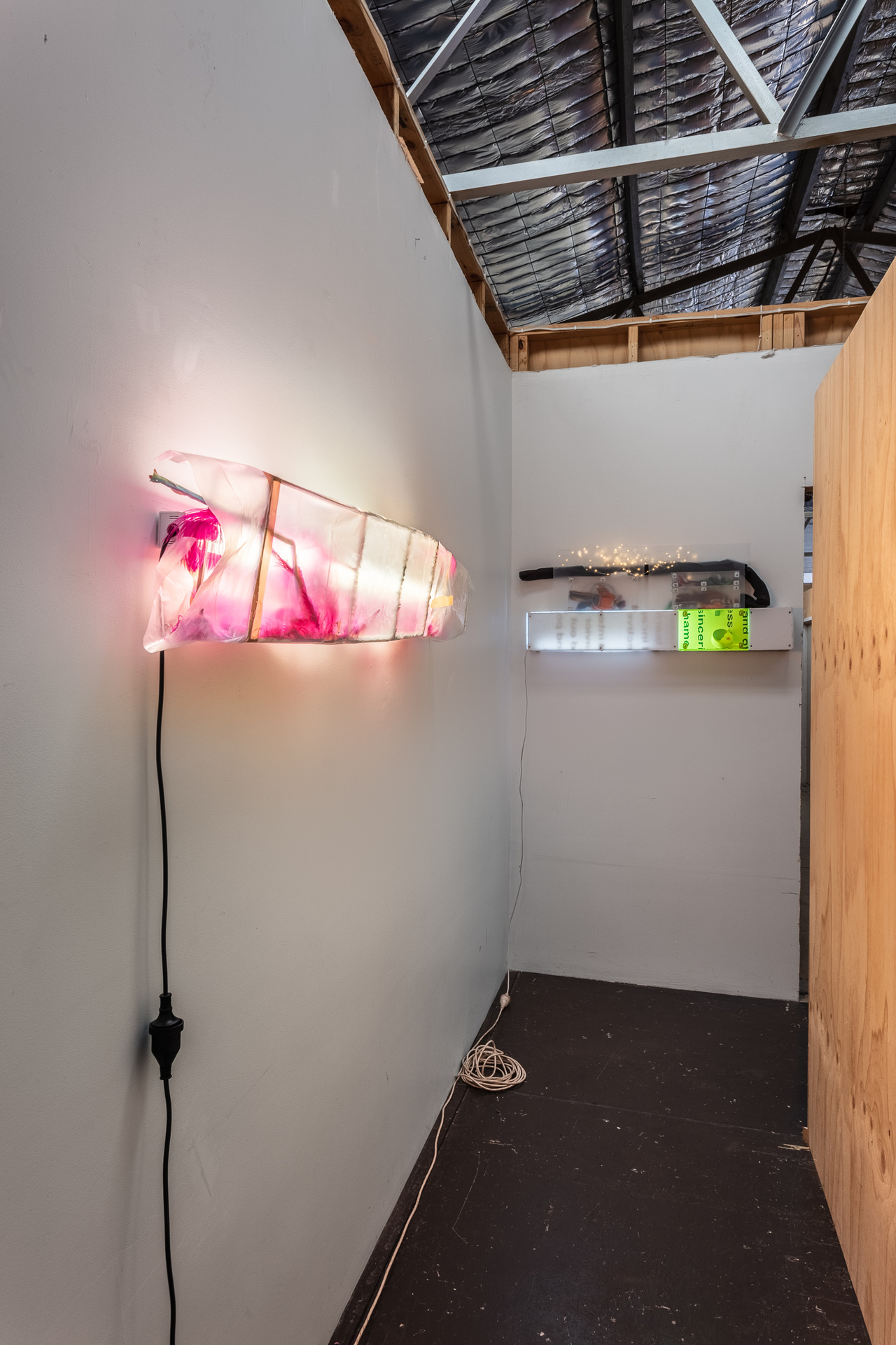 'Bitch Biscuit', Installation view