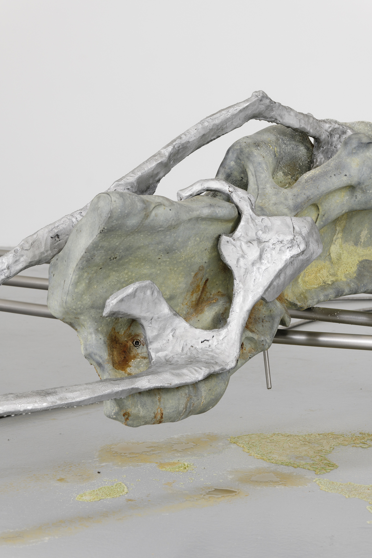 Isabelle Andriessen, BUNK, 2021